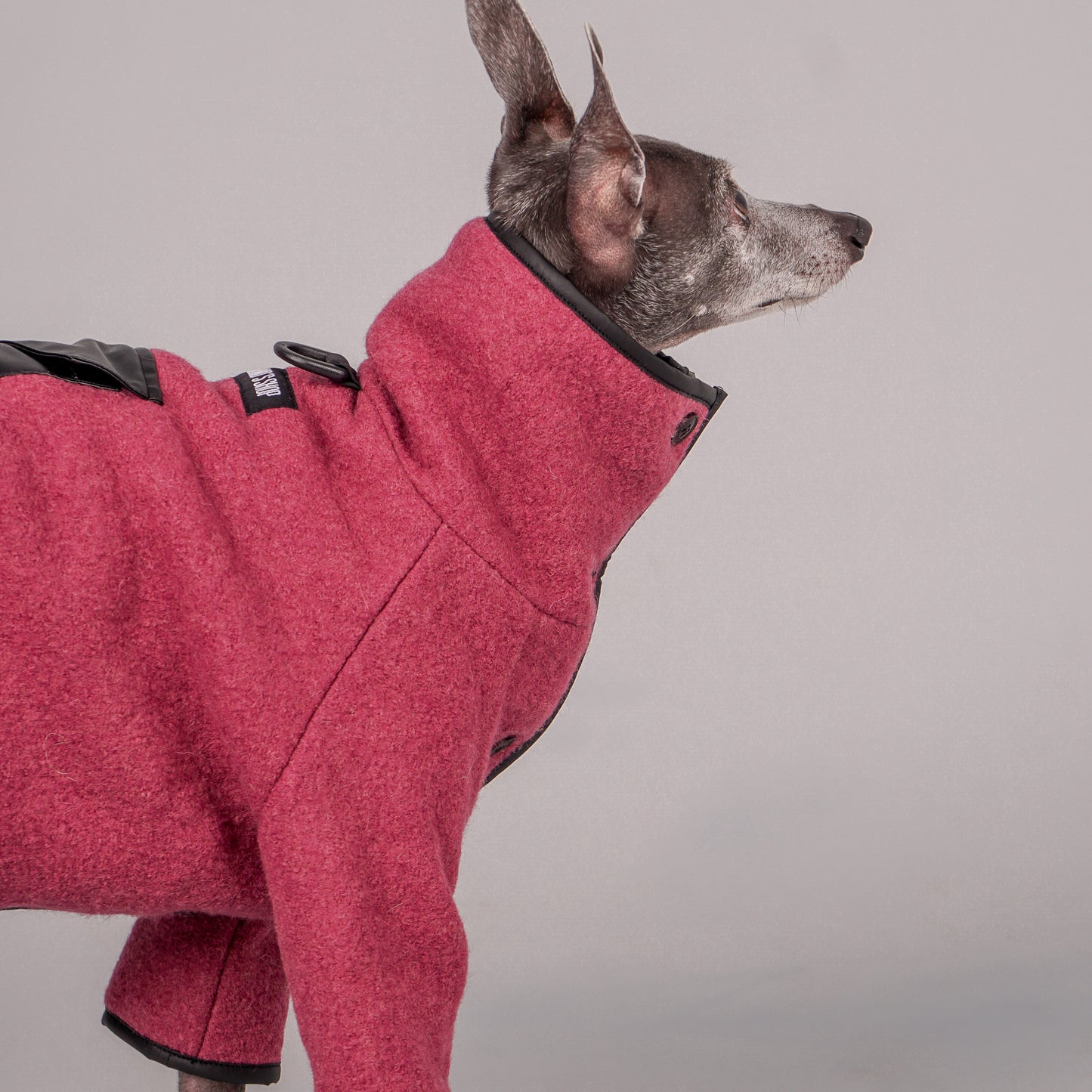 dog coat, dog wool coat, dog apparel, italian greyhound clothes, whippet clothes