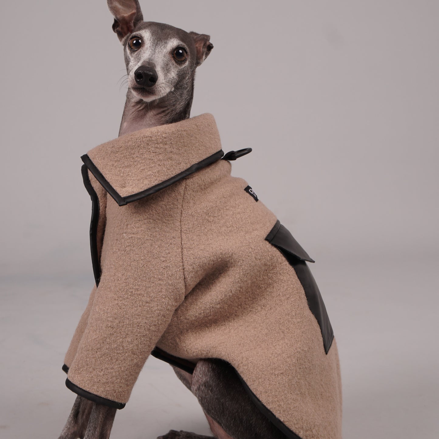 dog coat, dog wool coat, dog apparel, italian greyhound clothes, whippet clothes