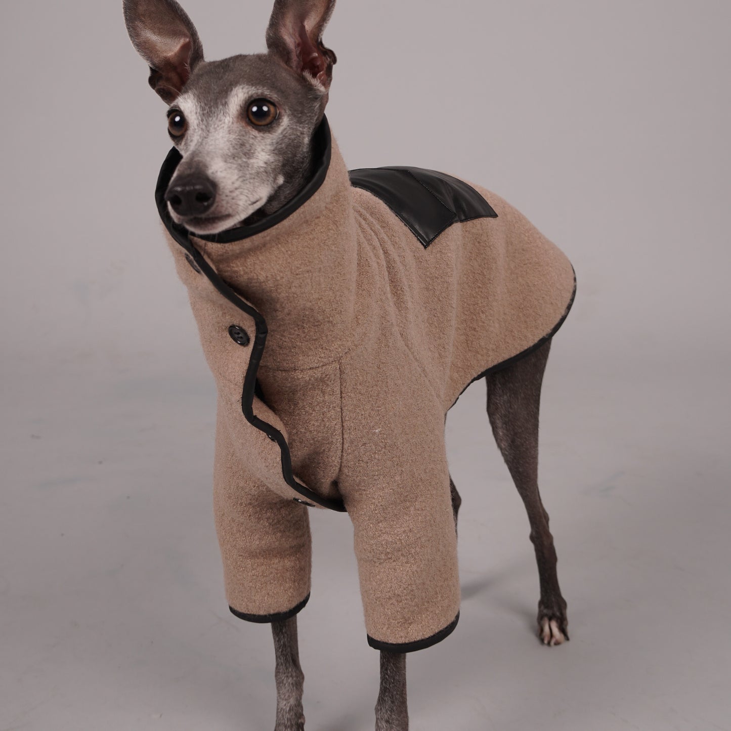 dog coat, dog wool coat, dog apparel, italian greyhound clothes, whippet clothes