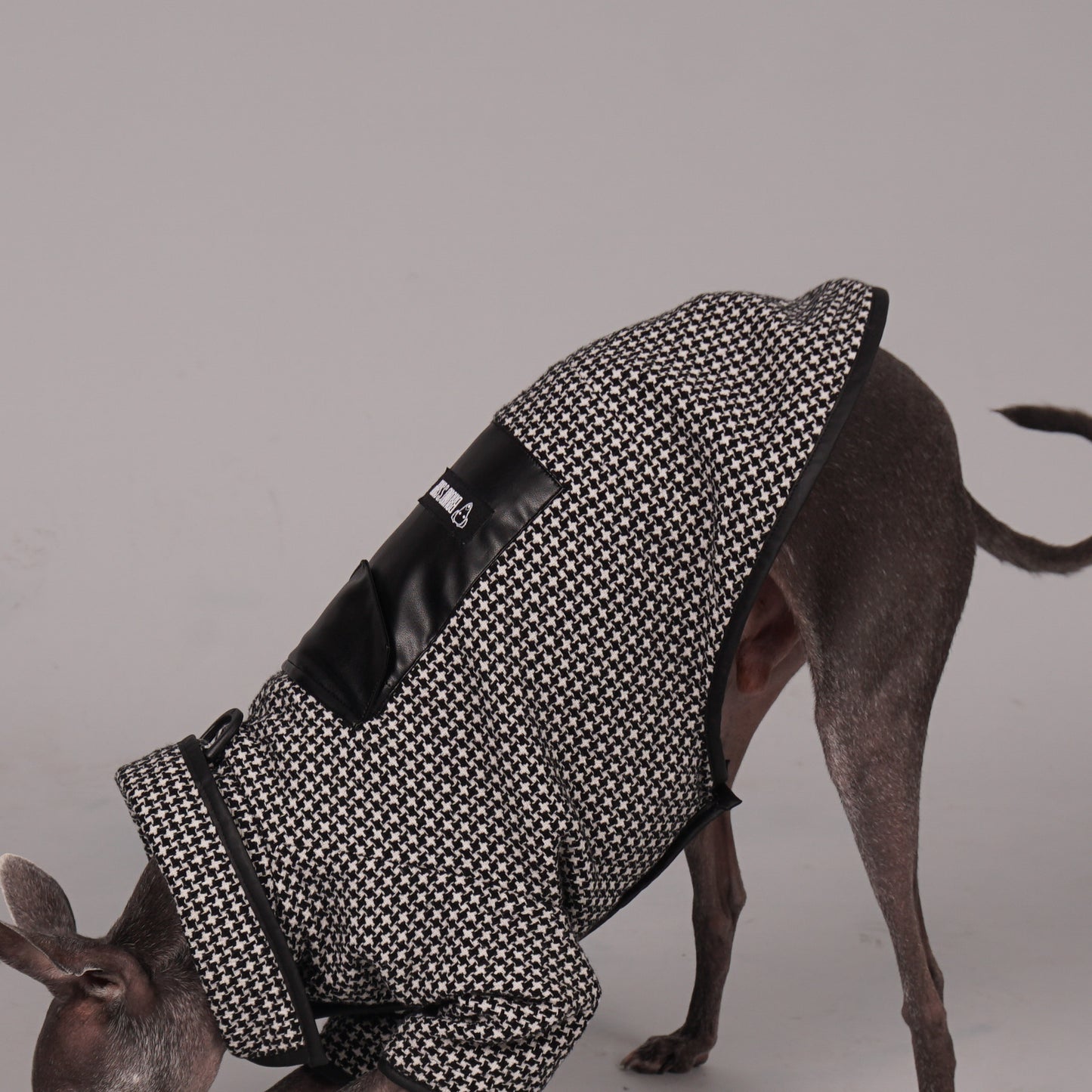 dog coat, dog wool coat, dog apparel, italian greyhound clothes, whippet clothes