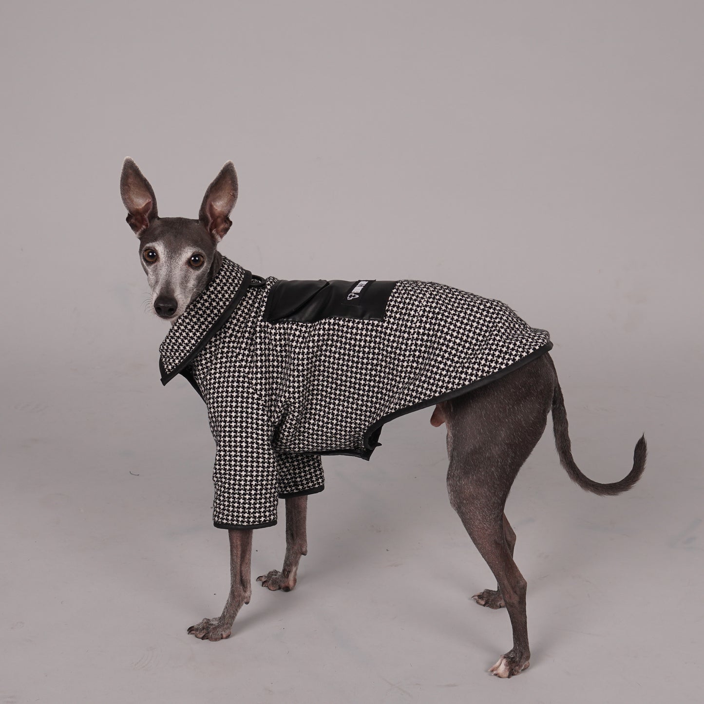 dog coat, dog wool coat, dog apparel, italian greyhound clothes, whippet clothes