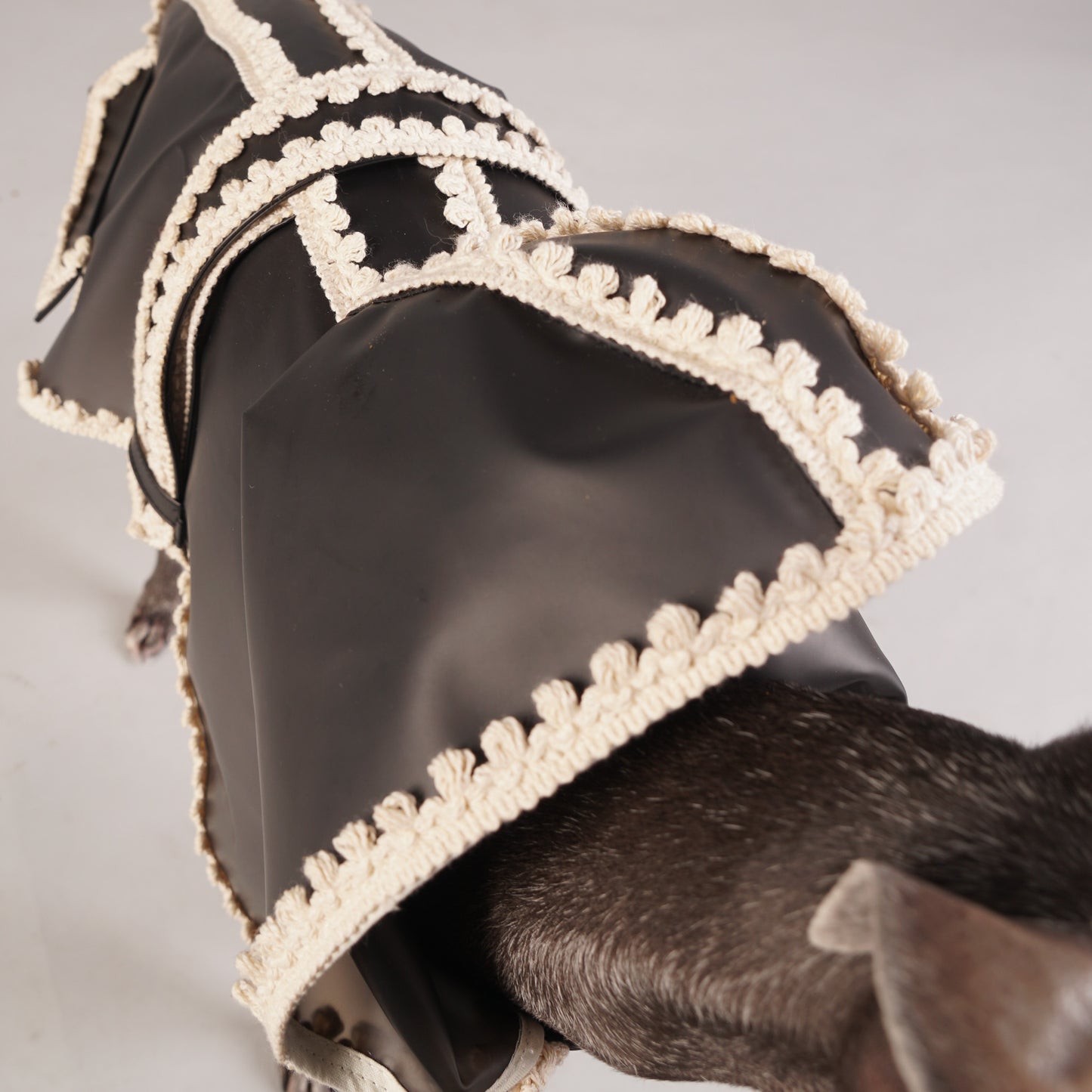 luxury dog raincoat