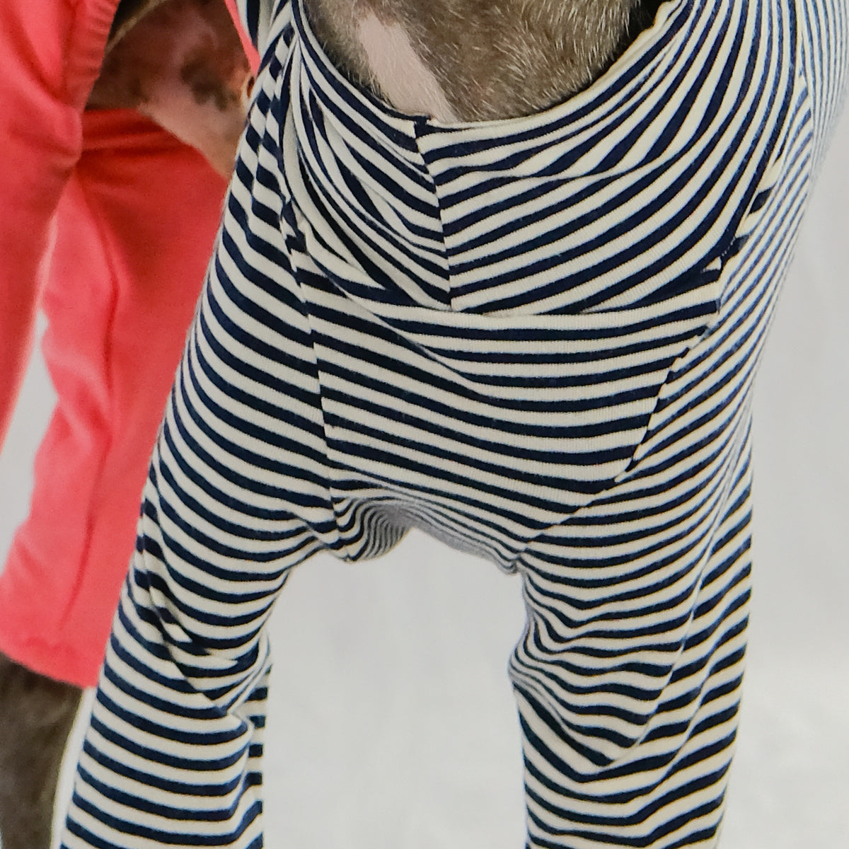 Organic cotton Italian Greyhound/whippet clothing, jumpsuit/jersey/onesie