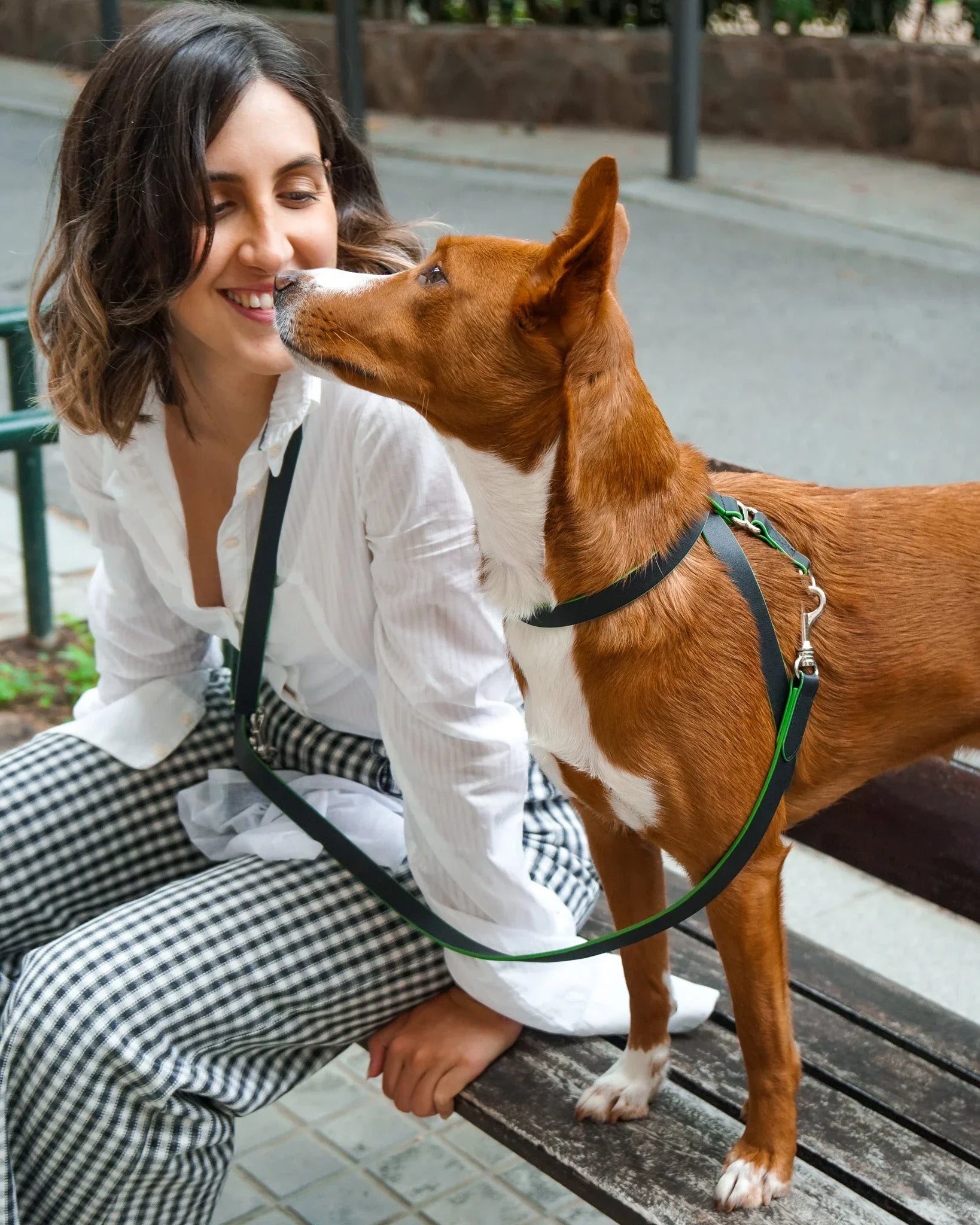 Milo Harness & Lead Collection