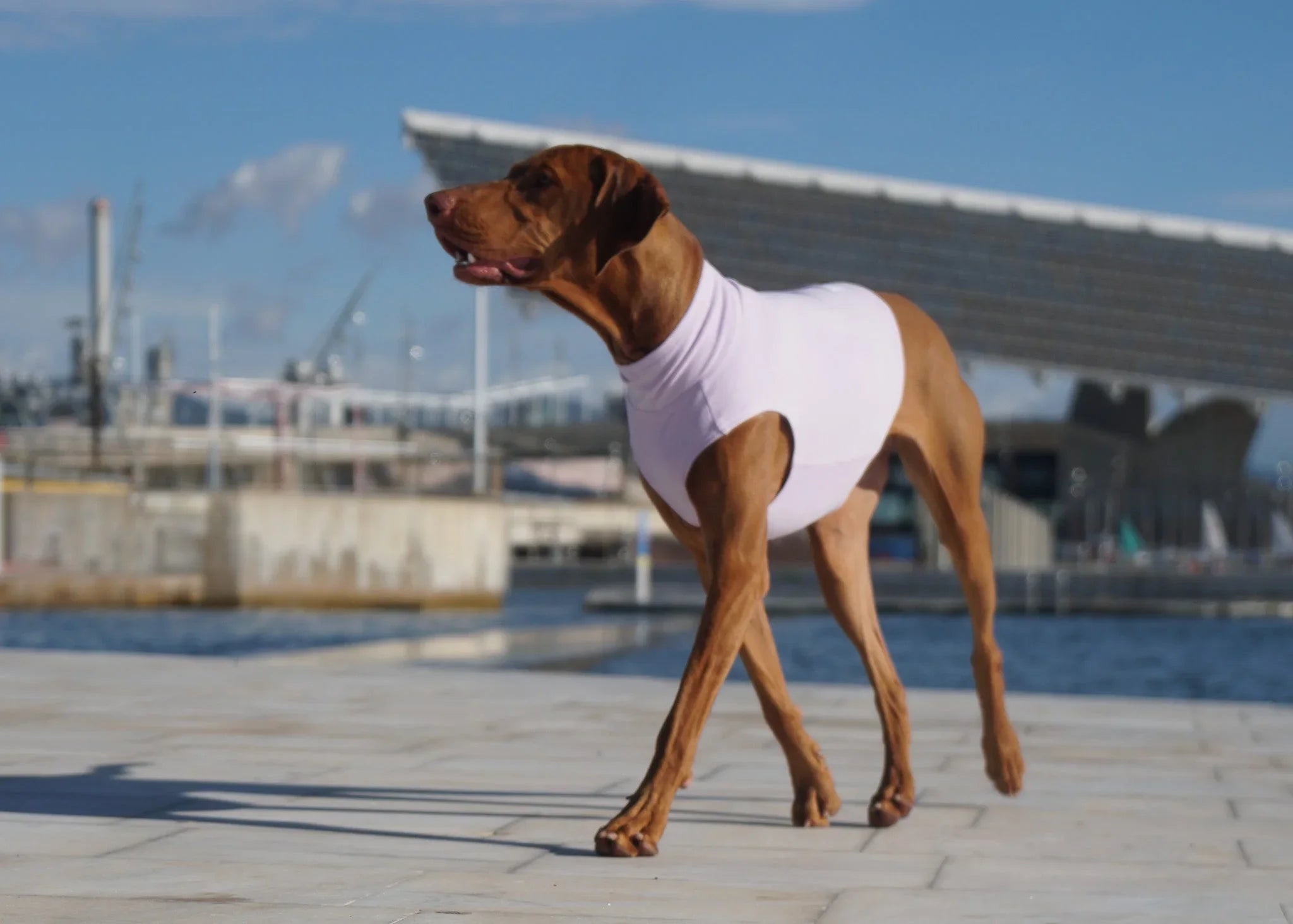 Transitional Outerwear