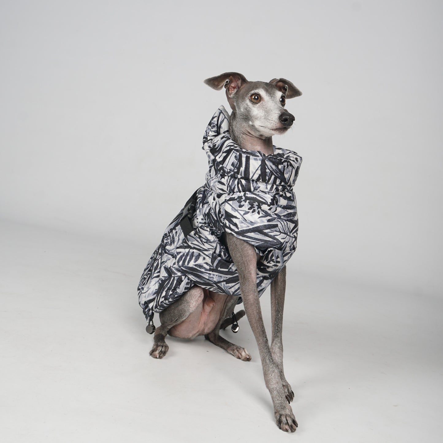 OBI watercolour printed quilted dog coat