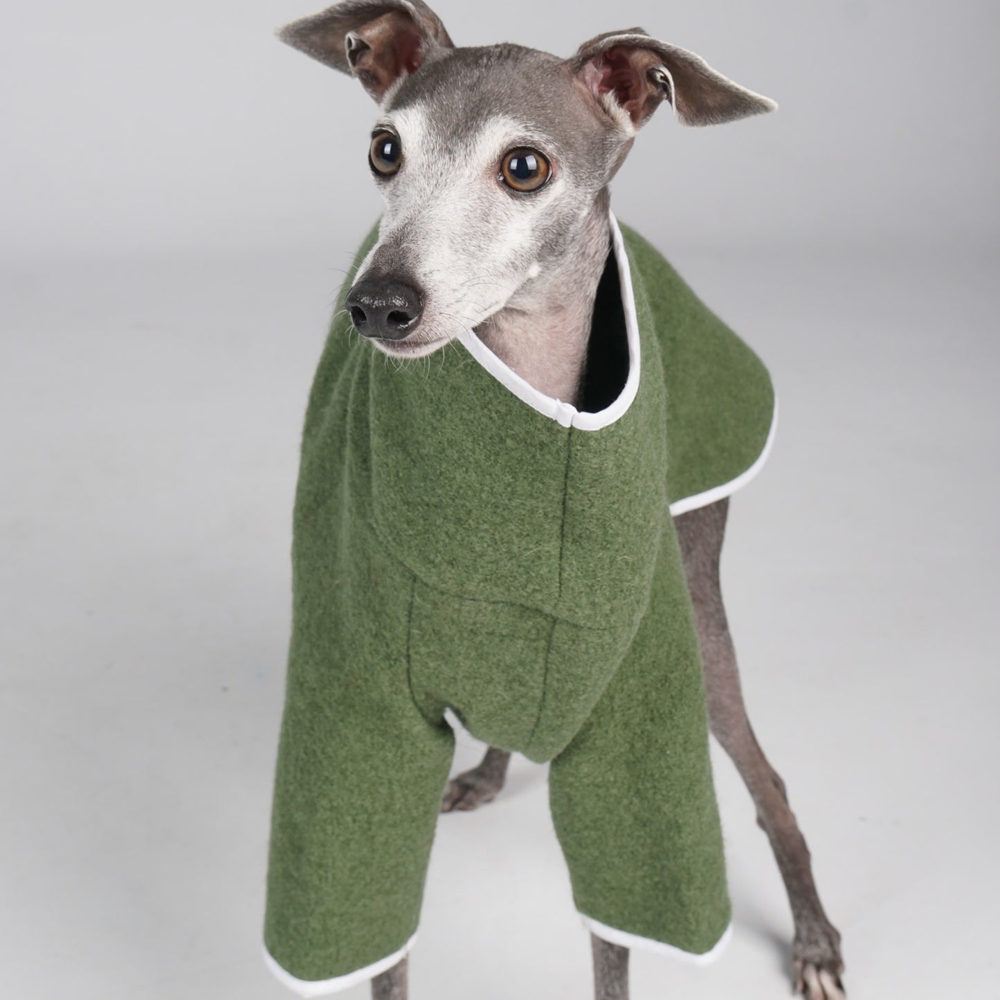 ABBY virgin wool dog jumper - Emerald