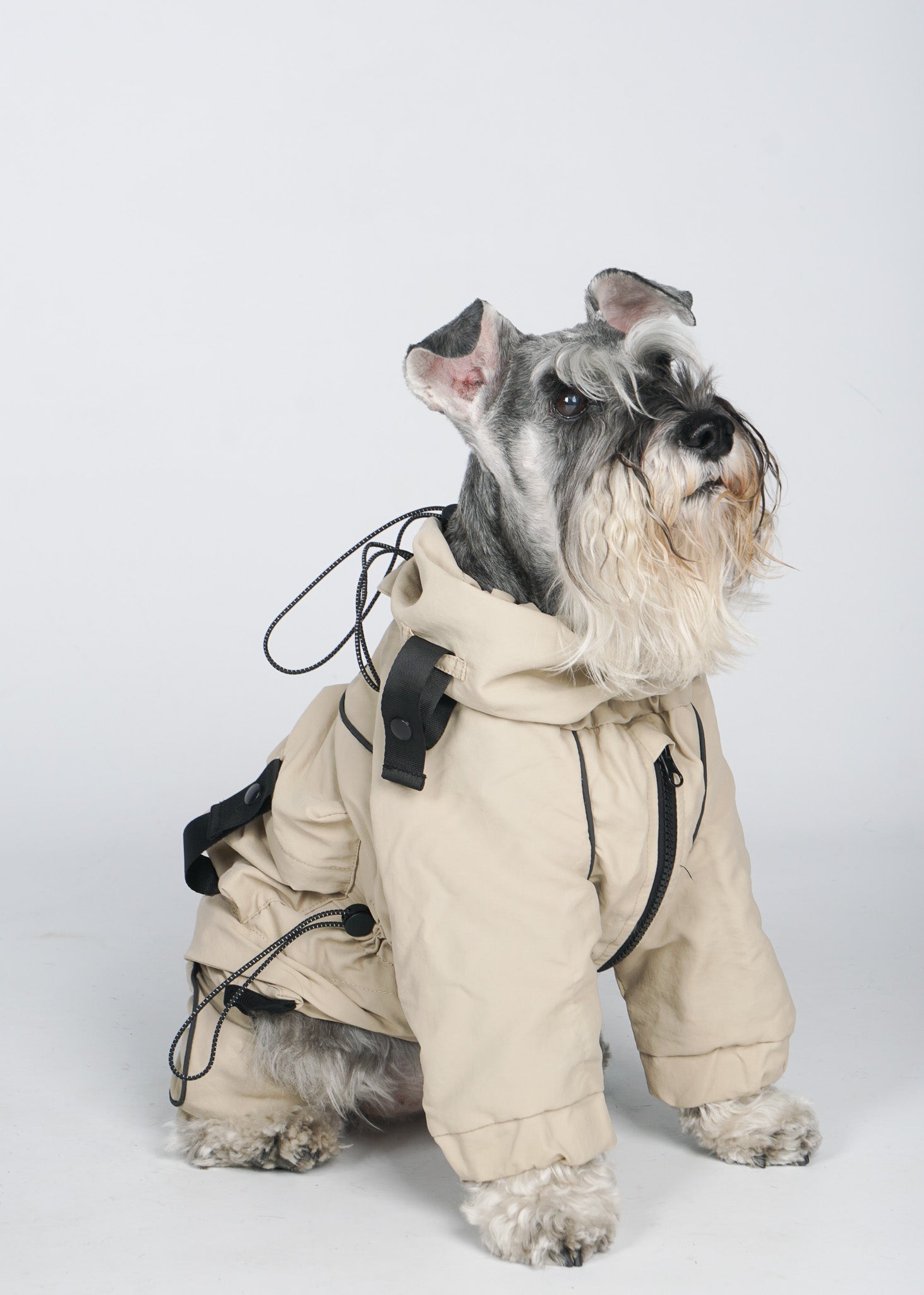 FETCH The detachable windbreaker for dogs.