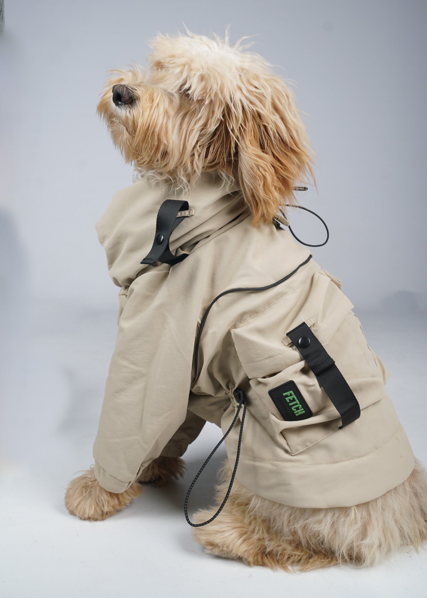 FETCH The detachable windbreaker for dogs.