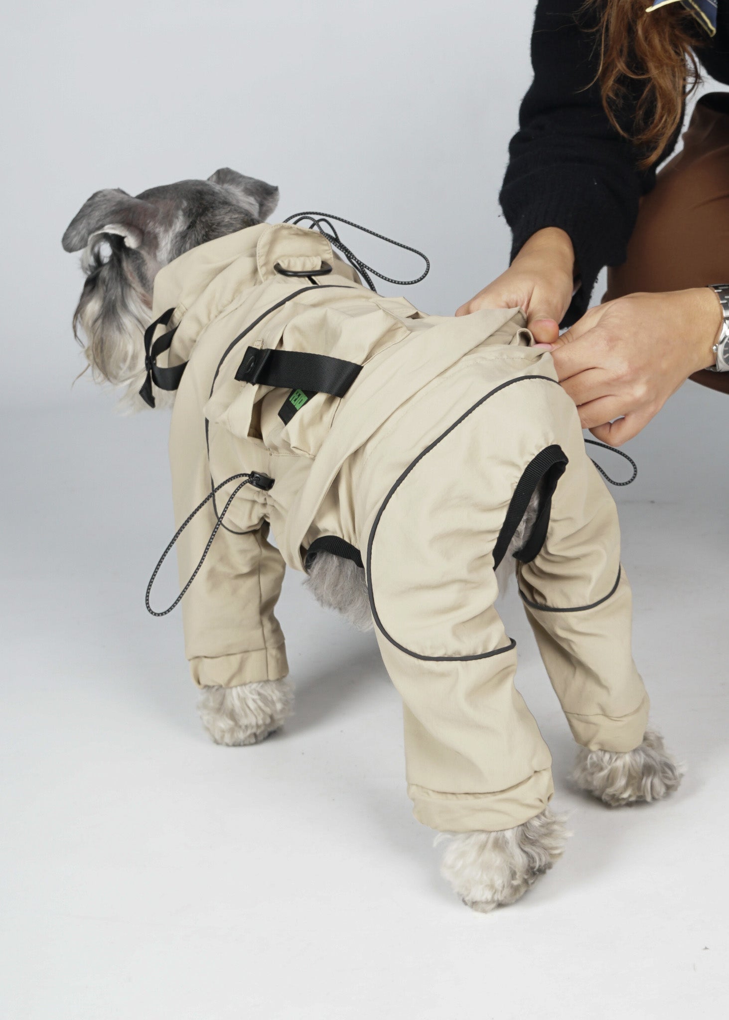 FETCH The detachable windbreaker for dogs.