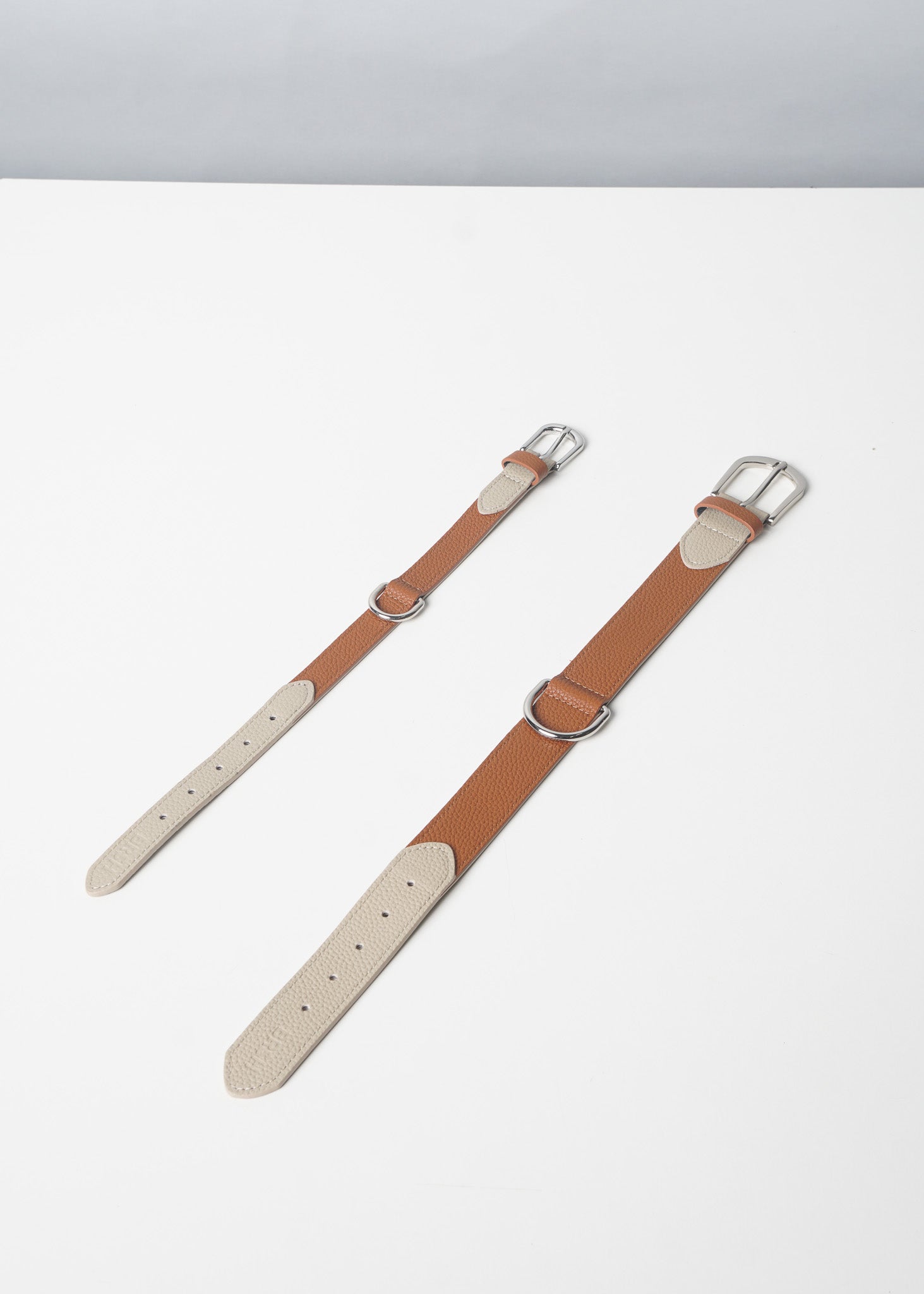 MANCHA Dog Collar