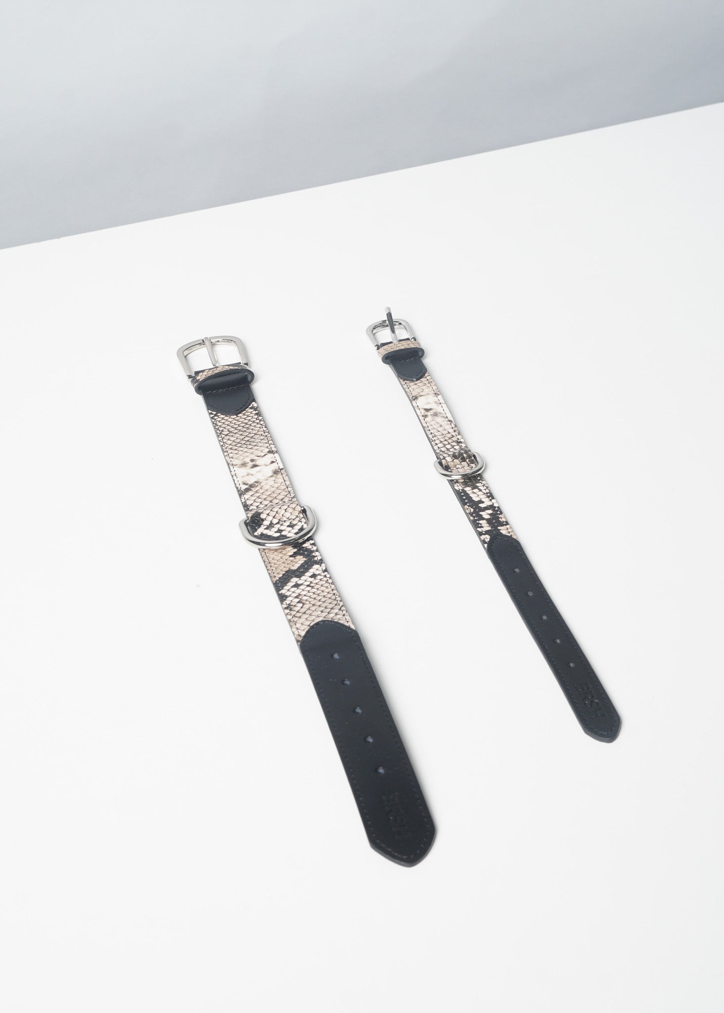 NOIR Dog Collar