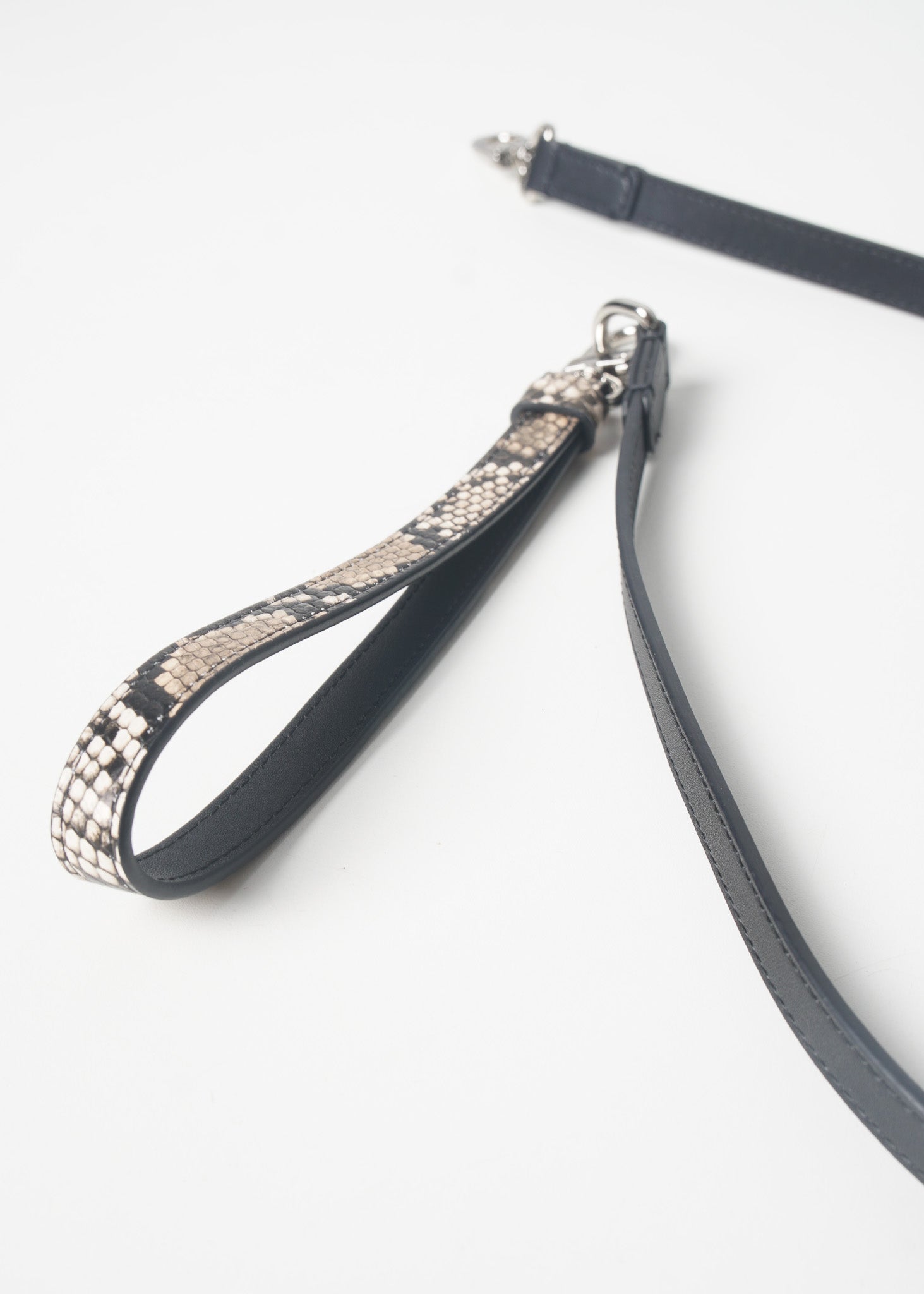 NOIR Dog Leash