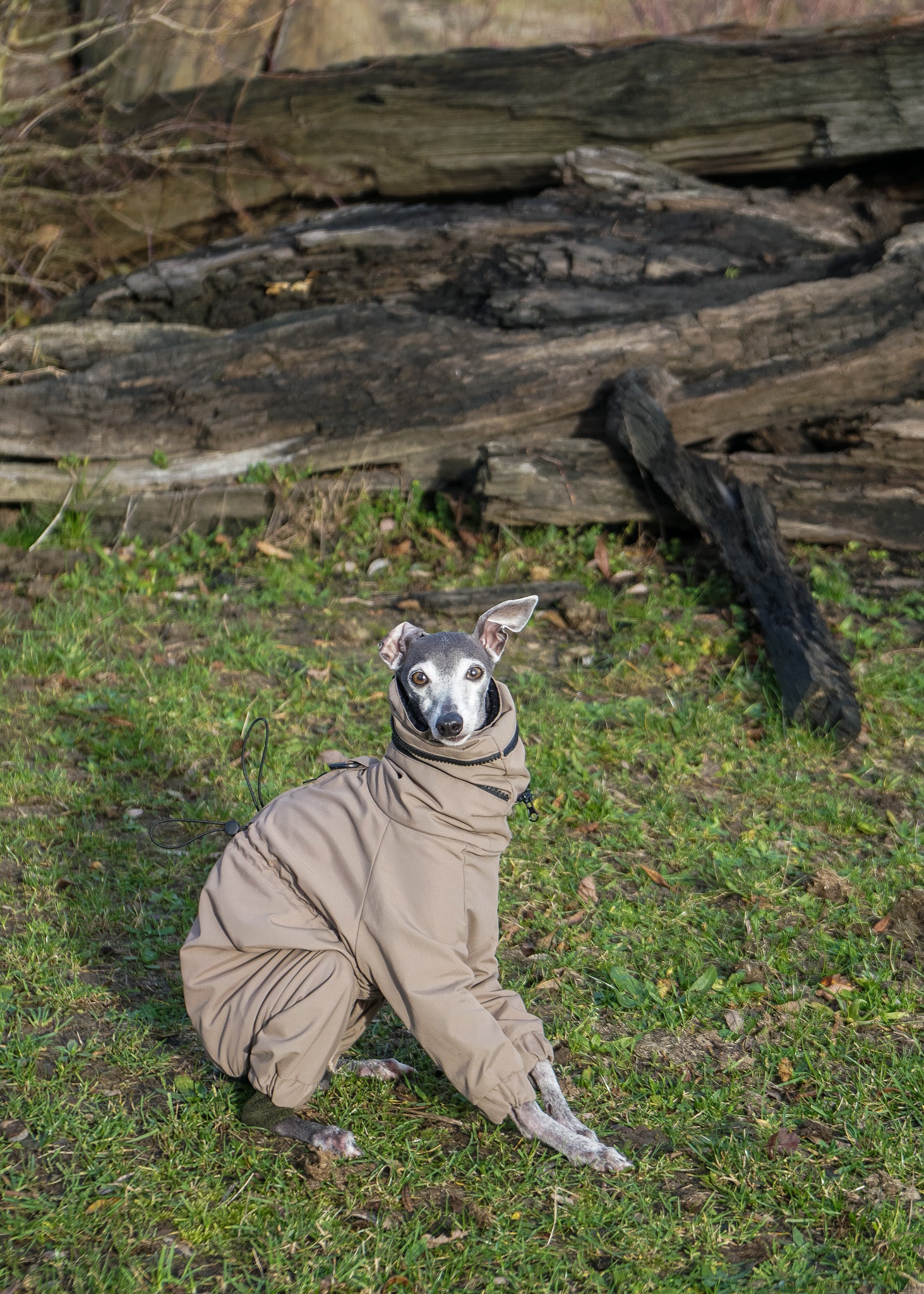 EL CAPITAN Windbreaker - TAUPE