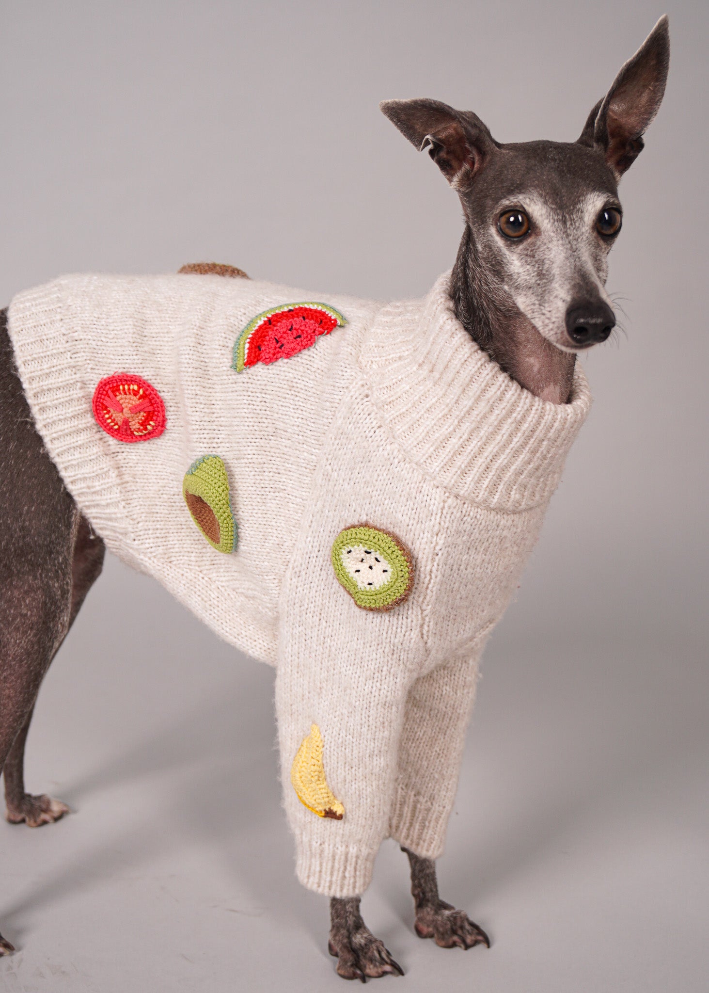 BEA handmade fruit crochet virgin wool dog jumper