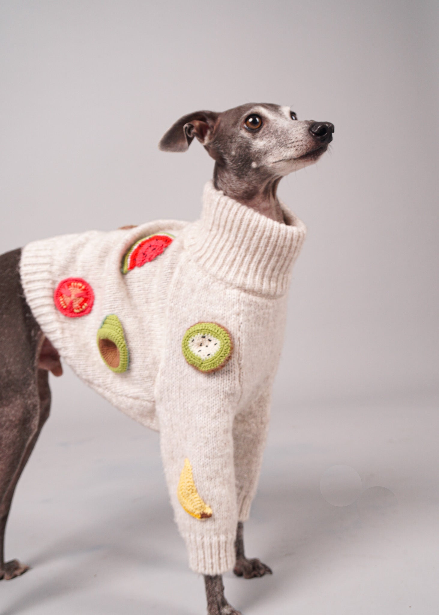 BEA handmade fruit crochet virgin wool dog jumper