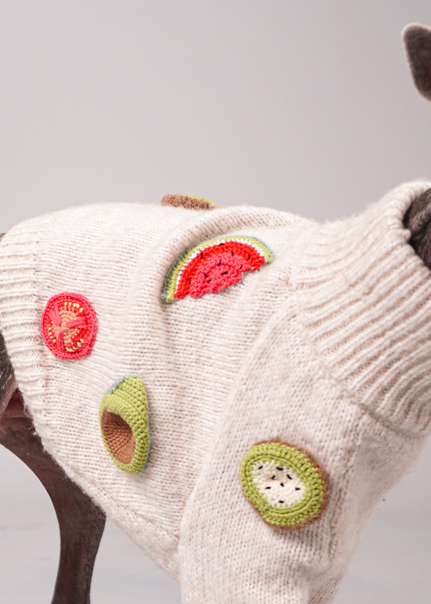 BEA handmade fruit crochet virgin wool dog jumper