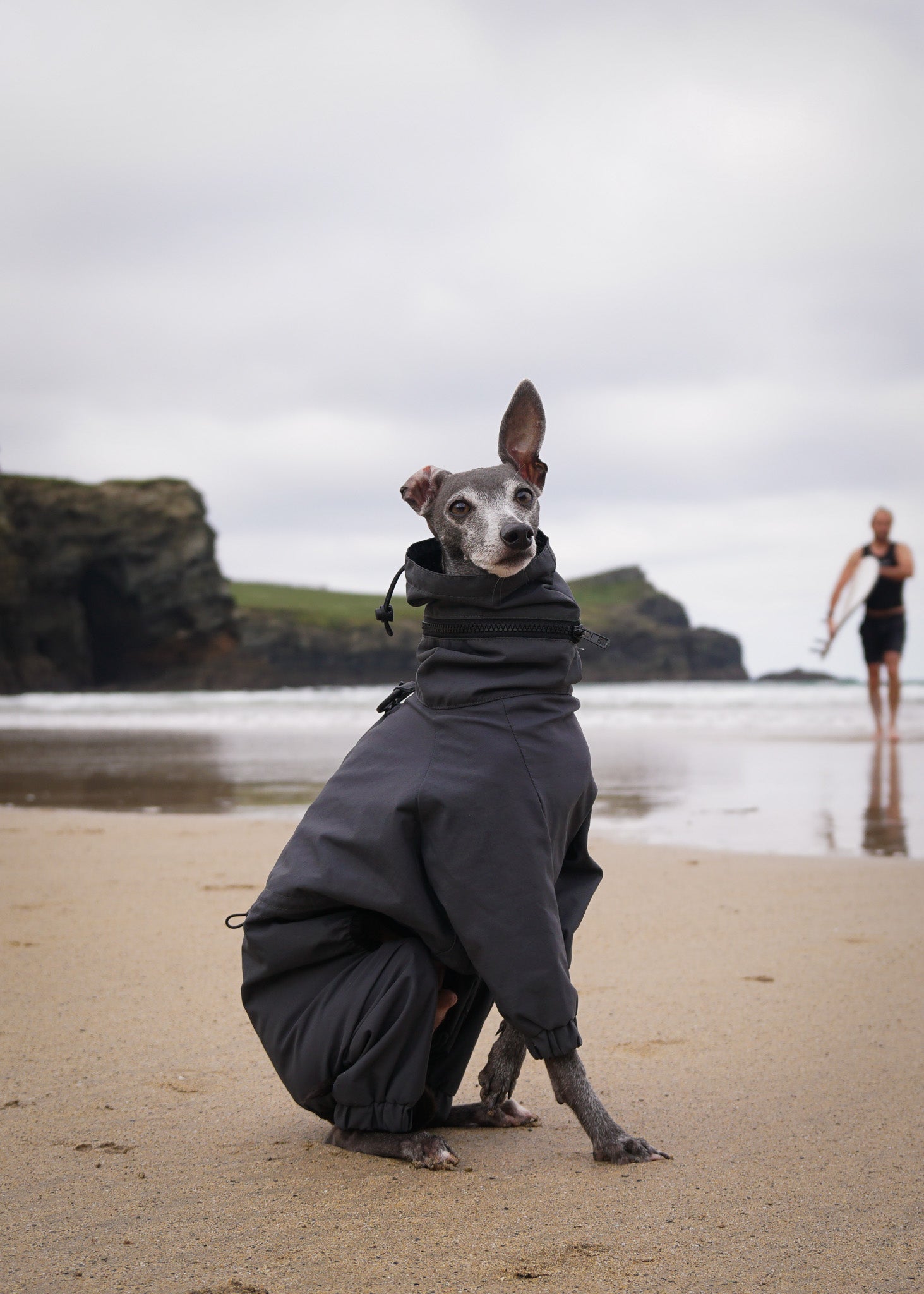 EL CAPITAN windbreaker - ANTHRACITE