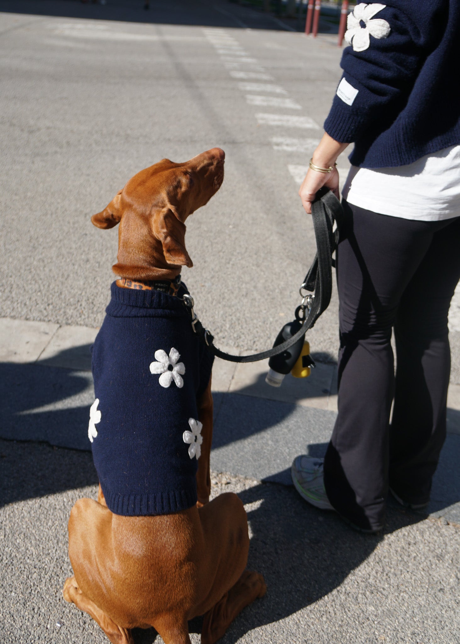 Sweet Daisy Merino Wool Dog Jumper