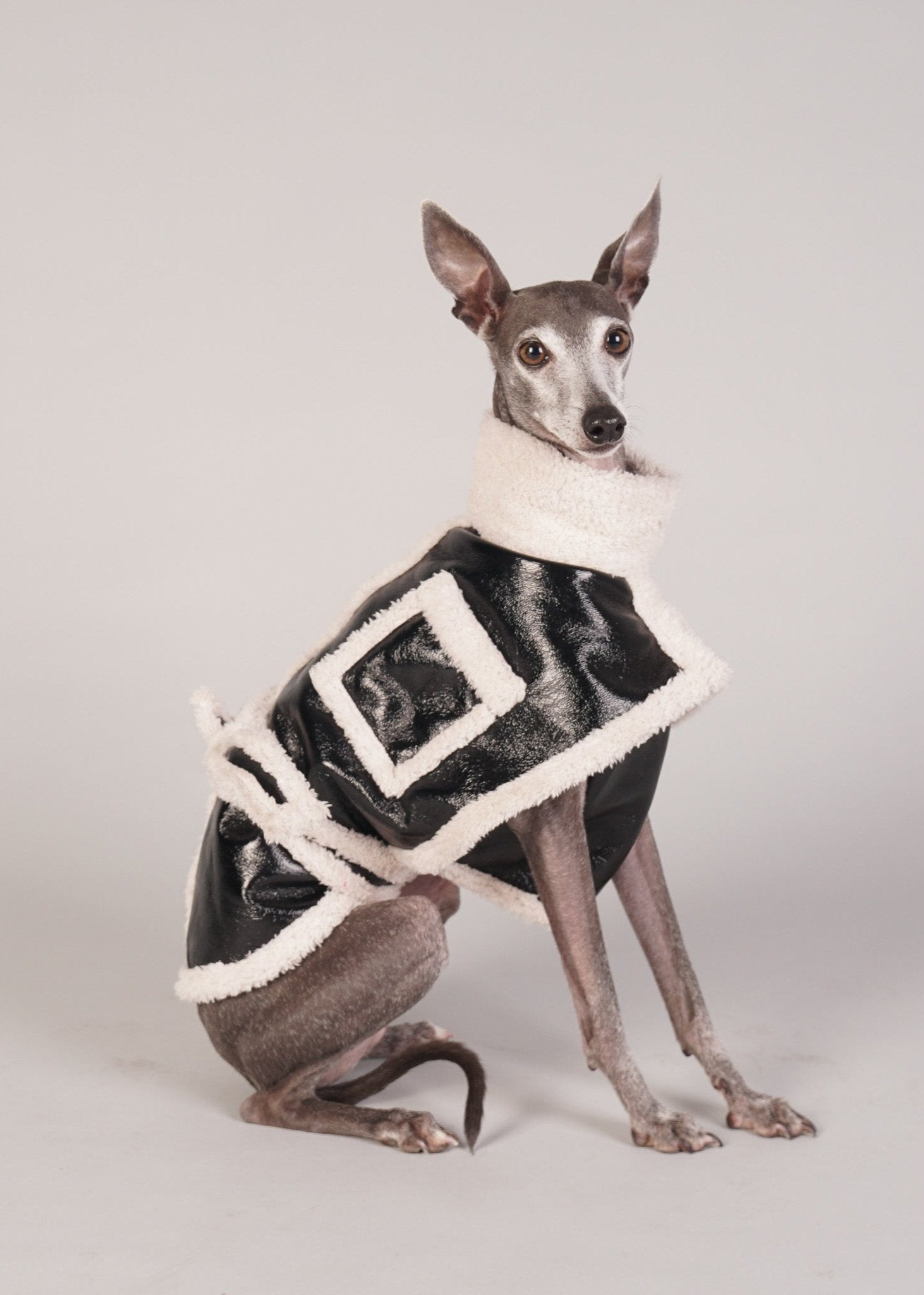 BROOKLYN shearling dog coat