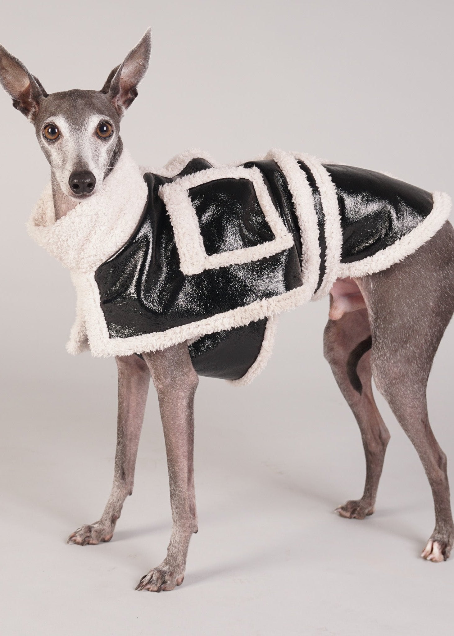 BROOKLYN shearling dog coat