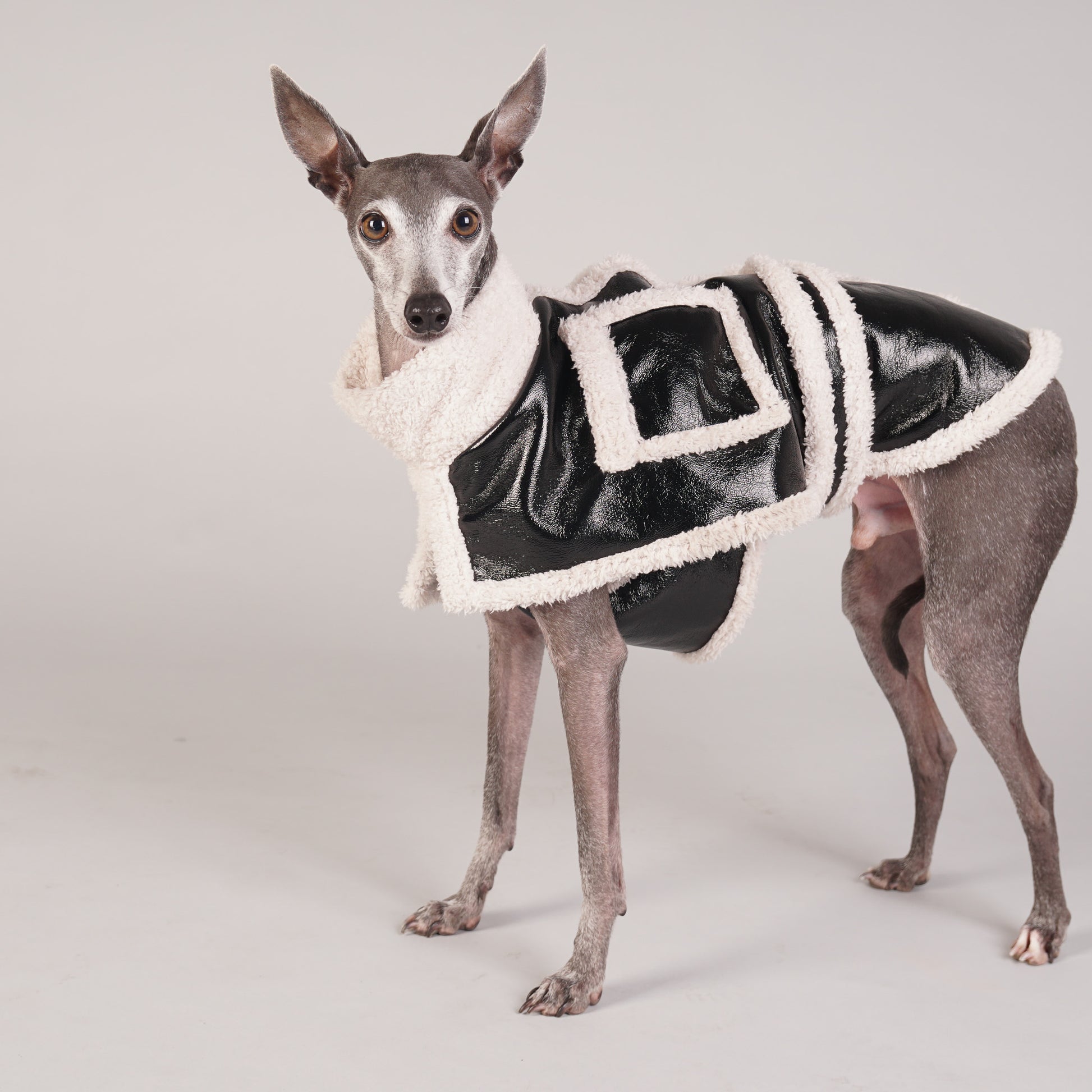 BROOKLYN shearling dog coat