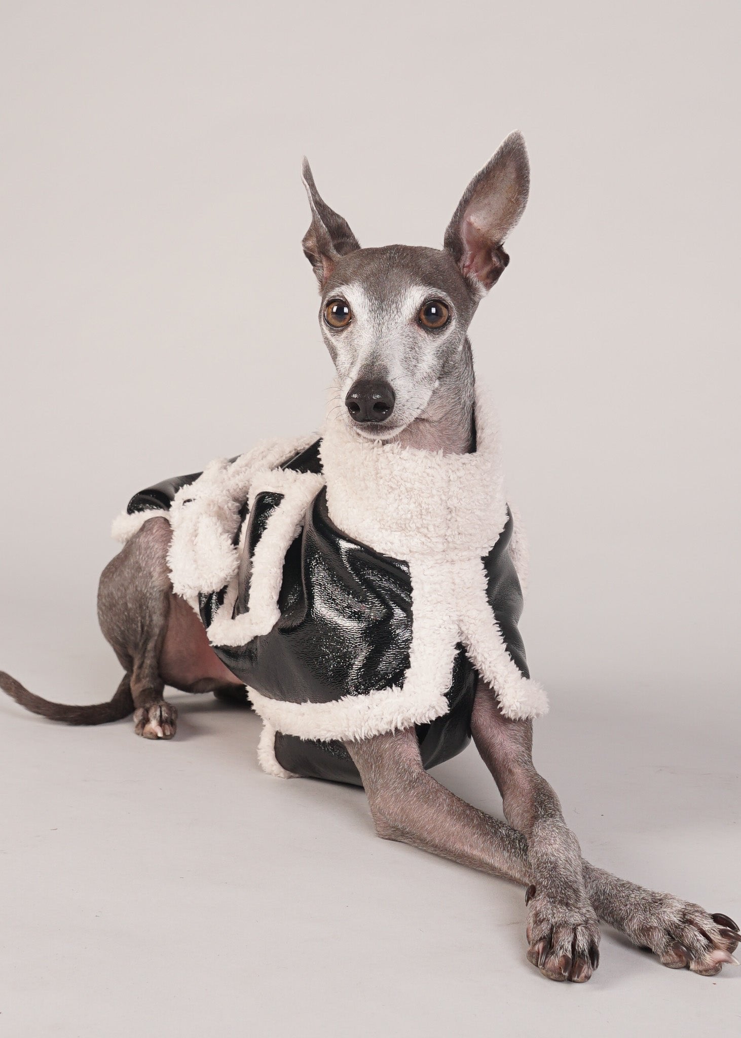 BROOKLYN shearling dog coat