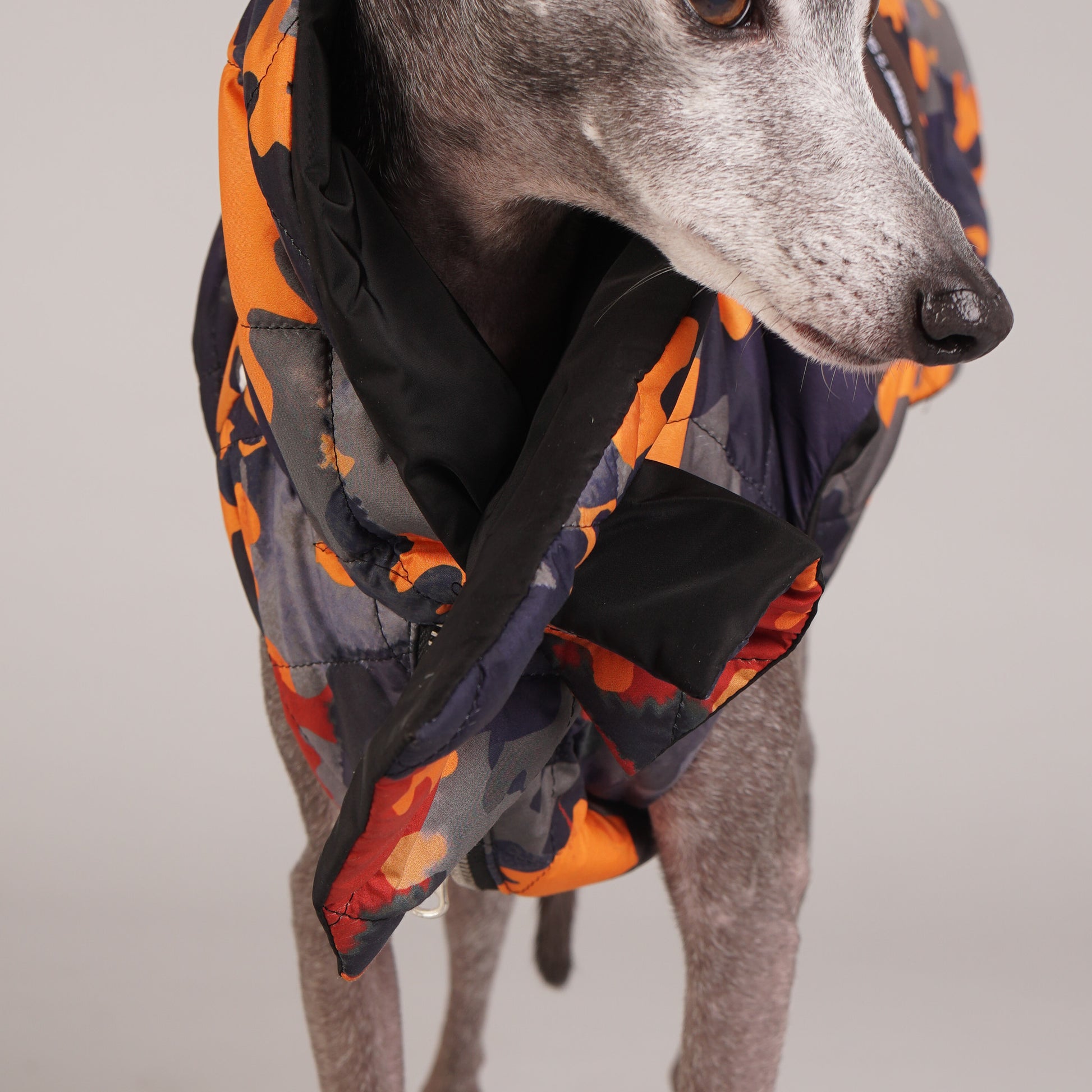 NORMA scarf-detailed quilted printed dog padded coat