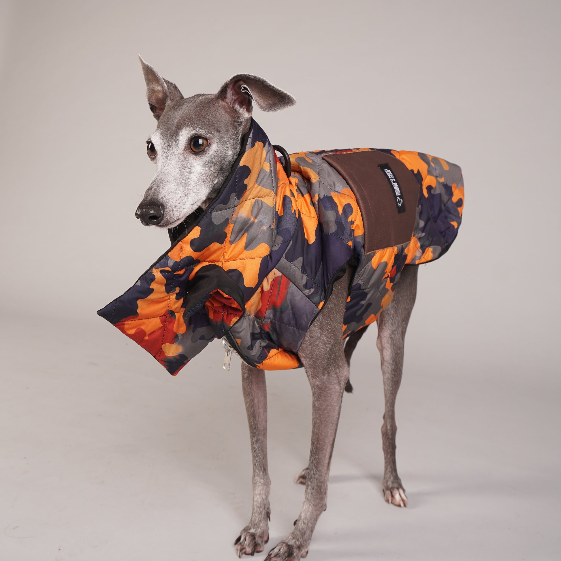 NORMA scarf-detailed quilted printed dog padded coat