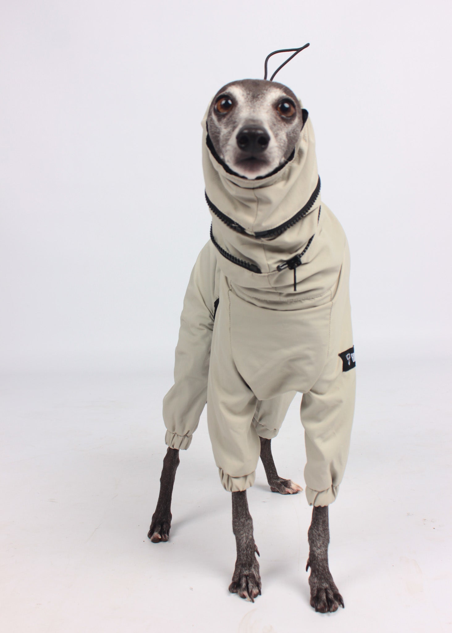 EL CAPITAN windbreaker - Beige