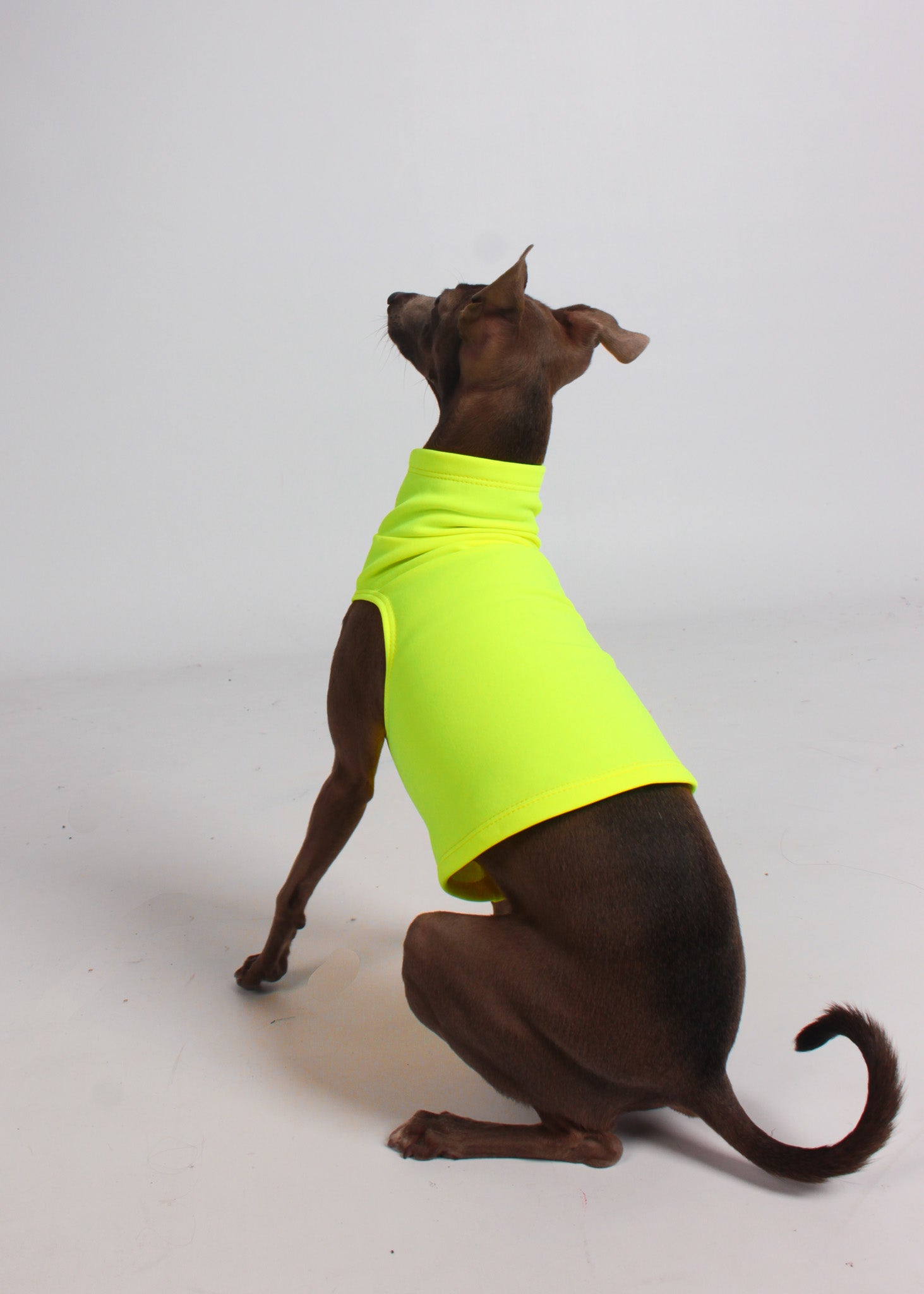 CALMA thermo vest - FLO YELLOW