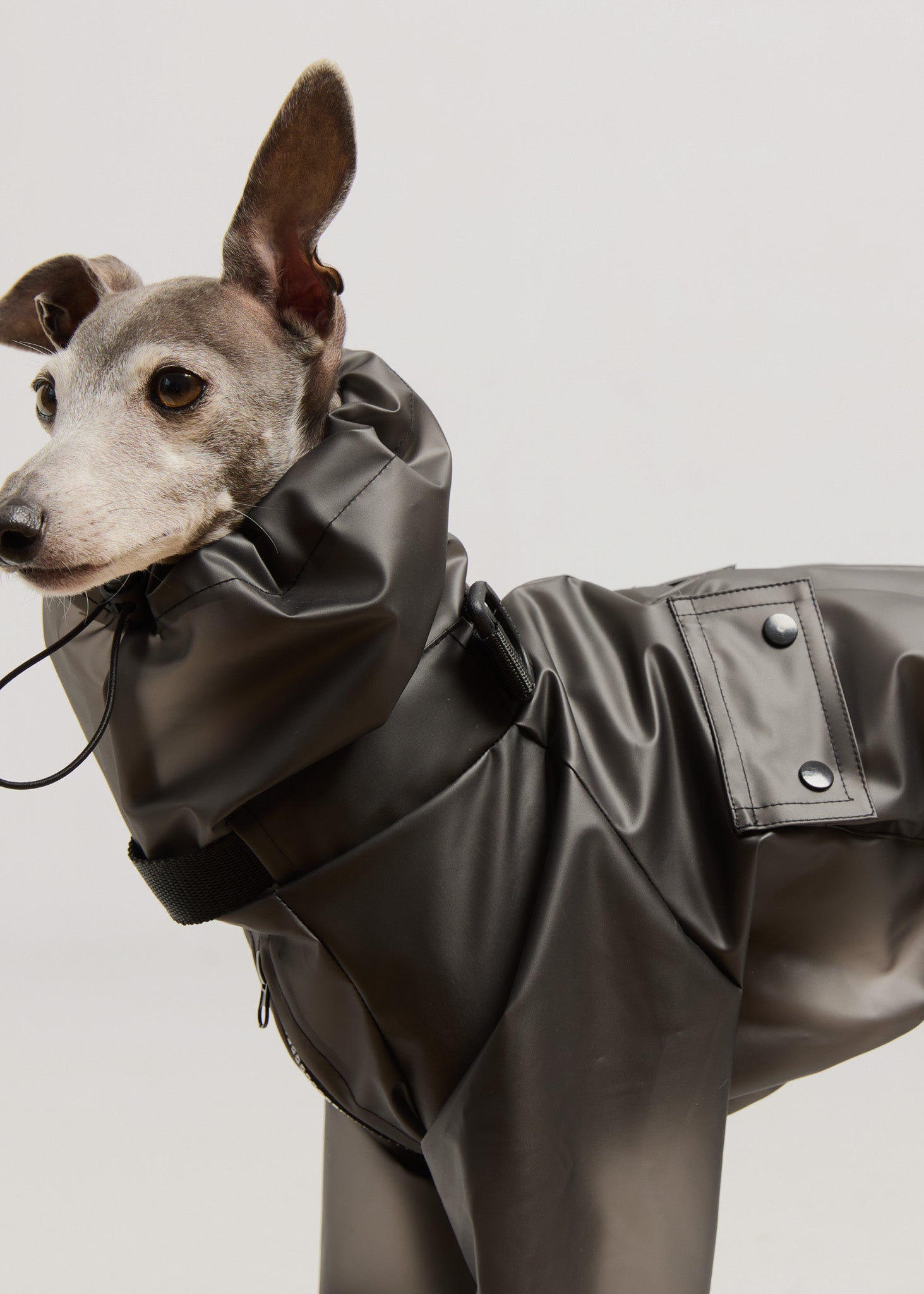 Dog Raincoat- Black