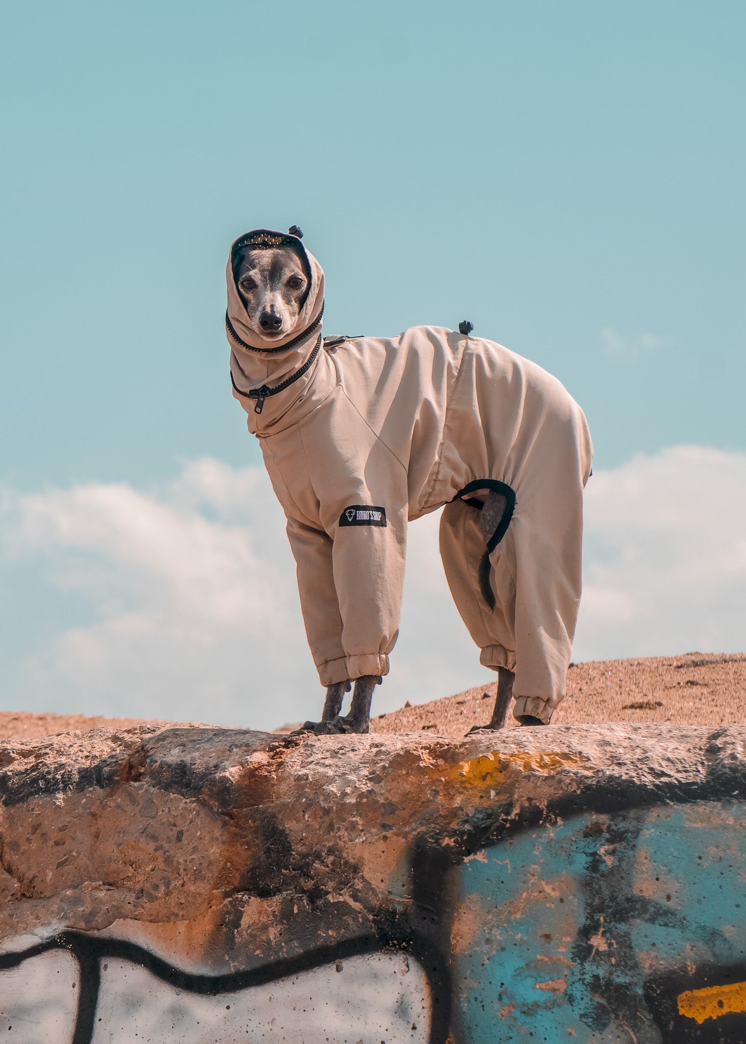 EL CAPITAN windbreaker - Beige