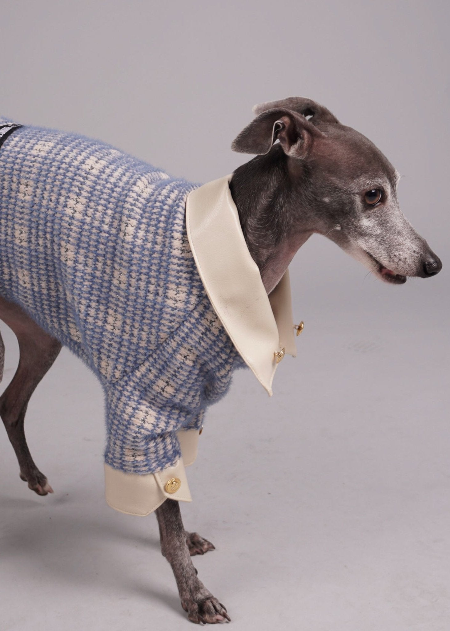 Pet clothing, Pet fashion, luxury dog clothing, luxury dog fashion, knitted jumper for Italian Greyhounds and Whippets.