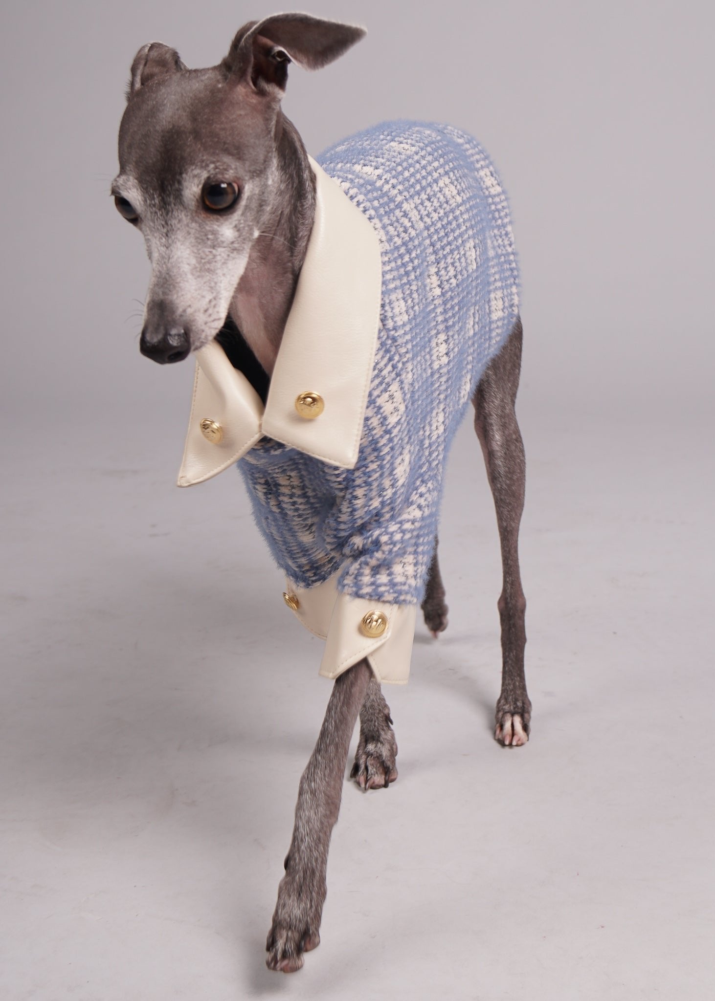 Pet clothing, Pet fashion, luxury dog clothing, luxury dog fashion, knitted jumper for Italian Greyhounds and Whippets.