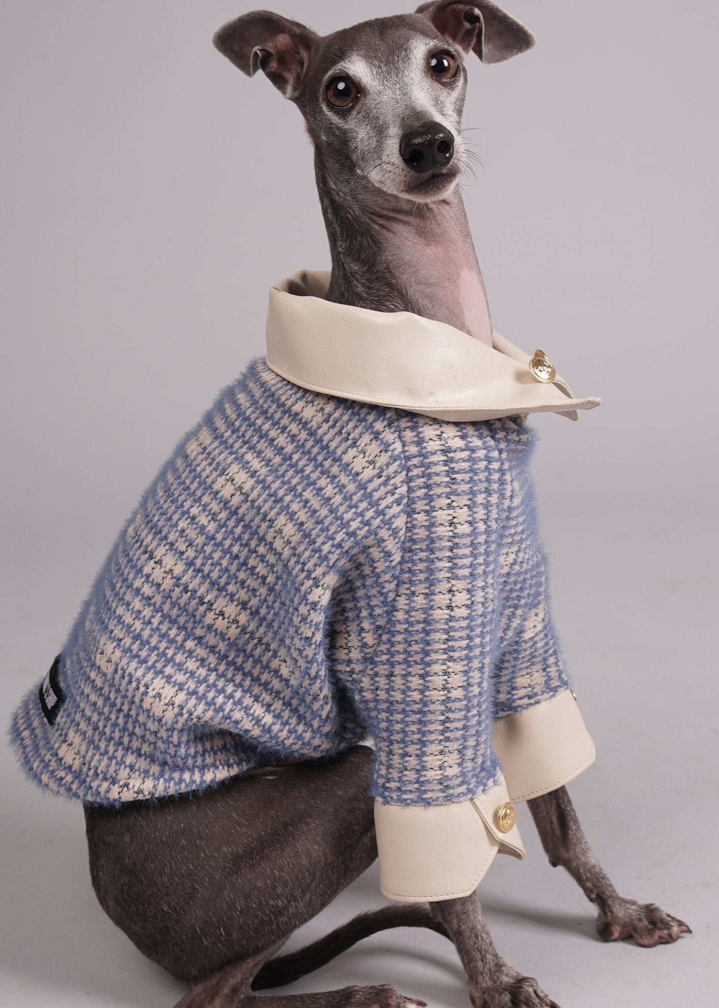 Pet clothing, Pet fashion, luxury dog clothing, luxury dog fashion, knitted jumper for Italian Greyhounds and Whippets.