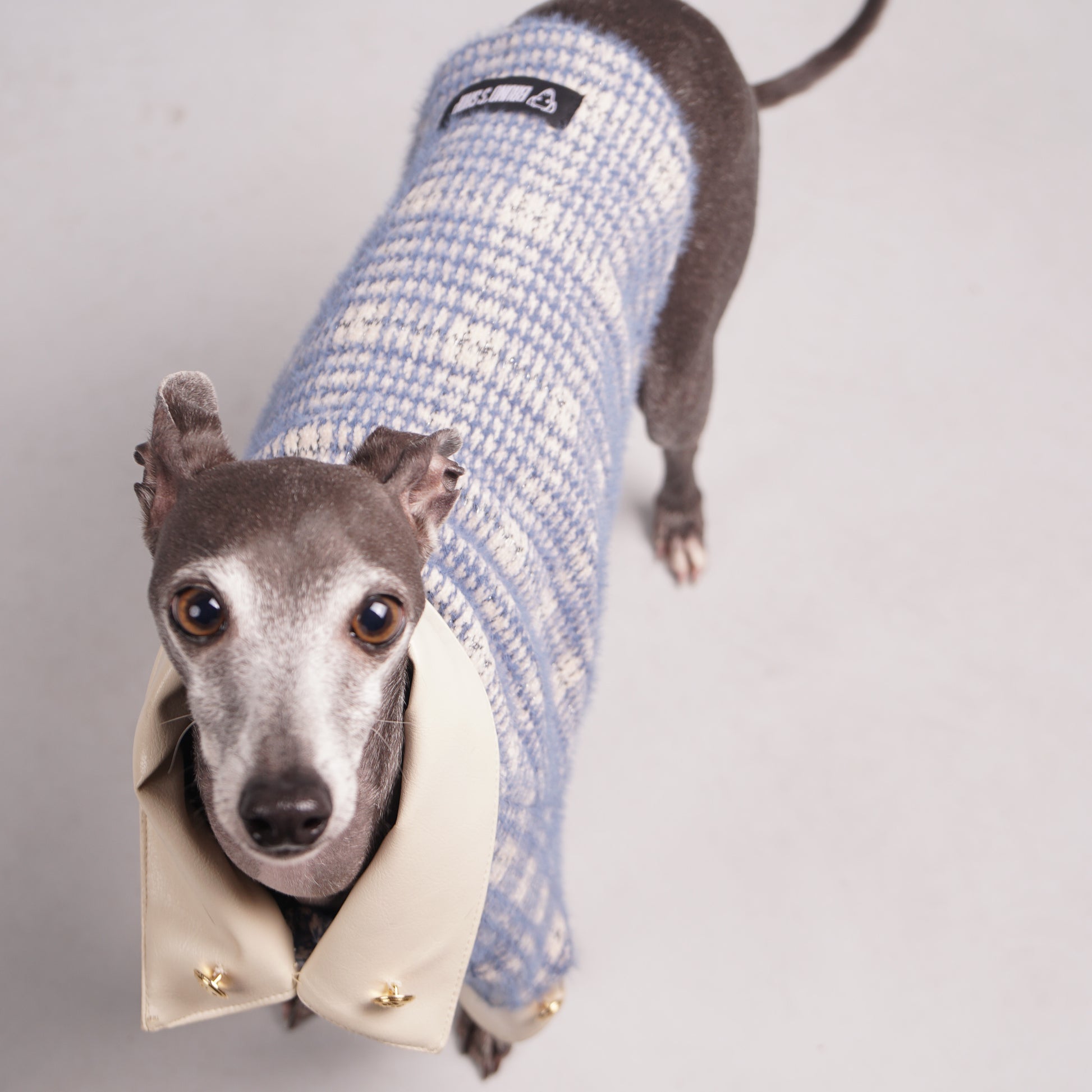 Pet clothing, Pet fashion, luxury dog clothing, luxury dog fashion, knitted jumper for Italian Greyhounds and Whippets.