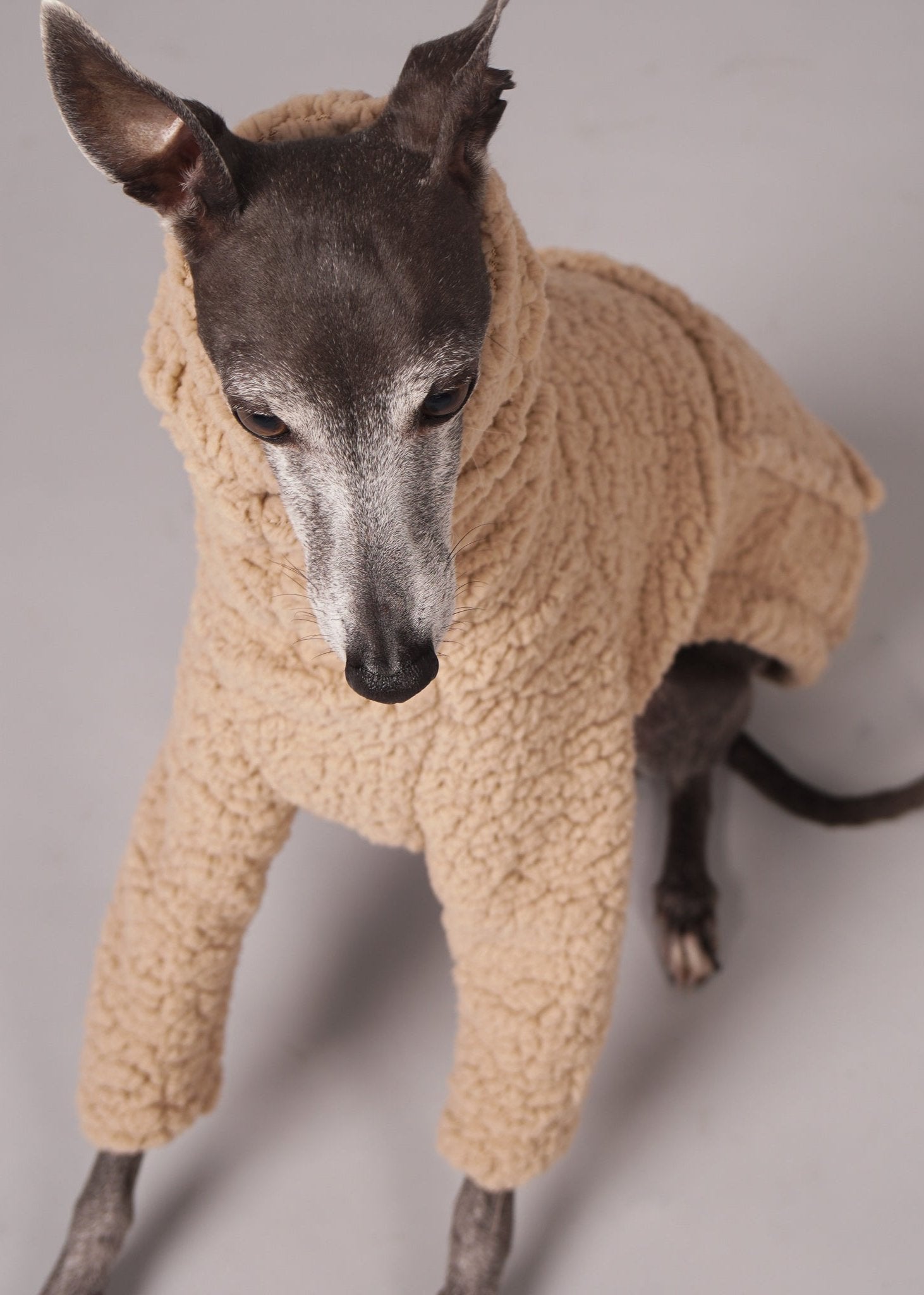 KANGAROO teddy jumper