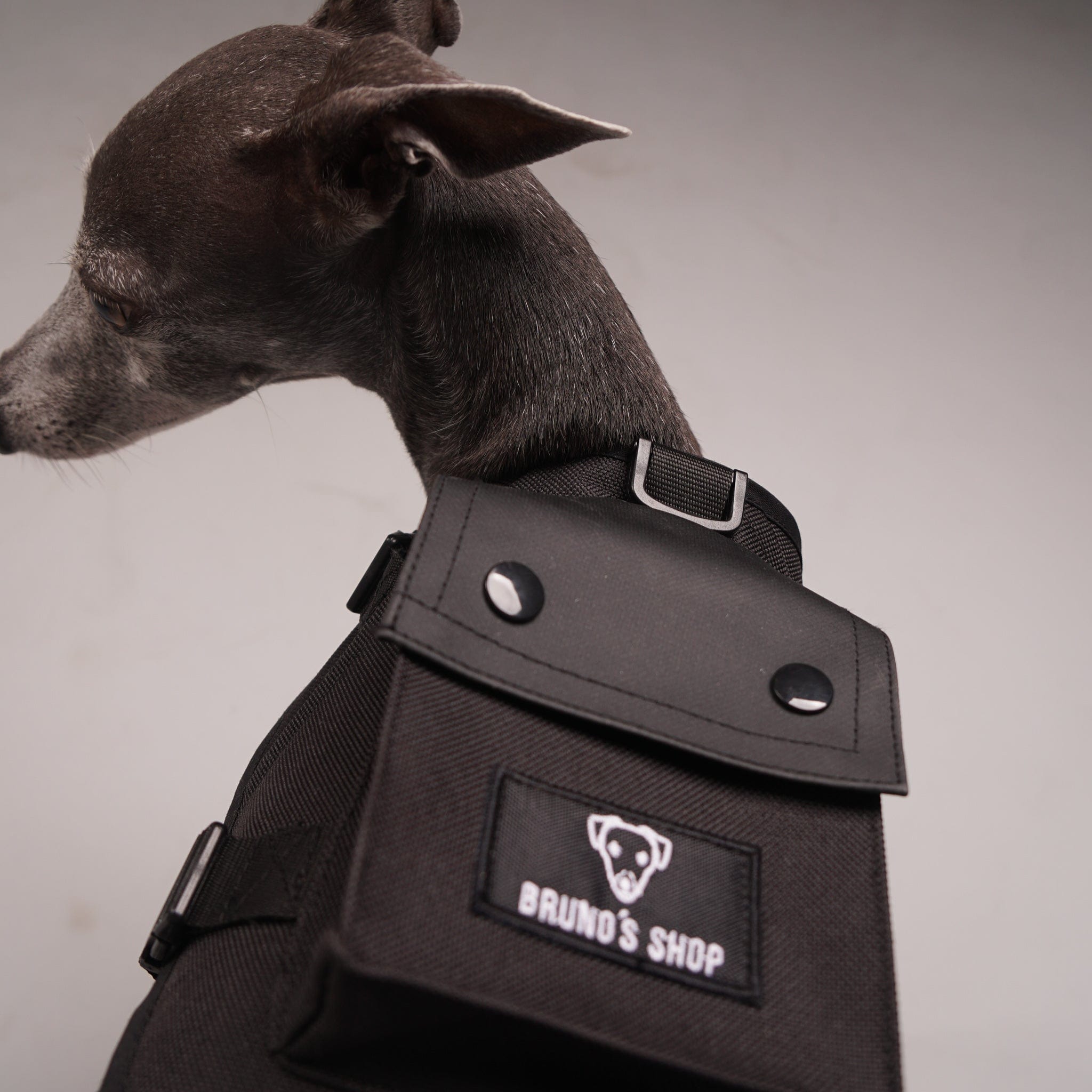 Army shop dog backpack