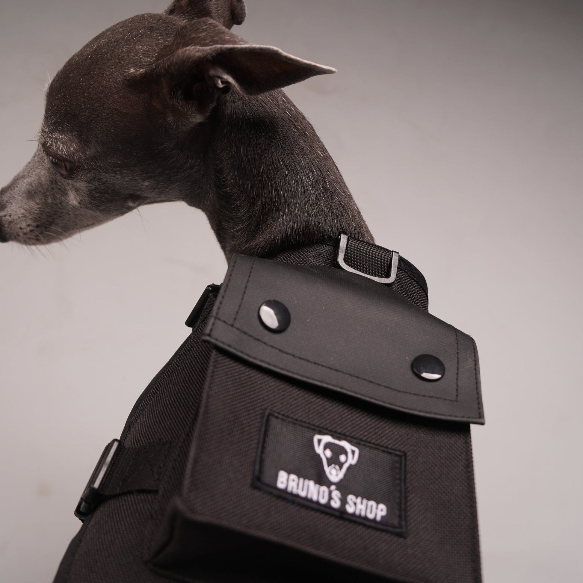 dog harness, dog backpack