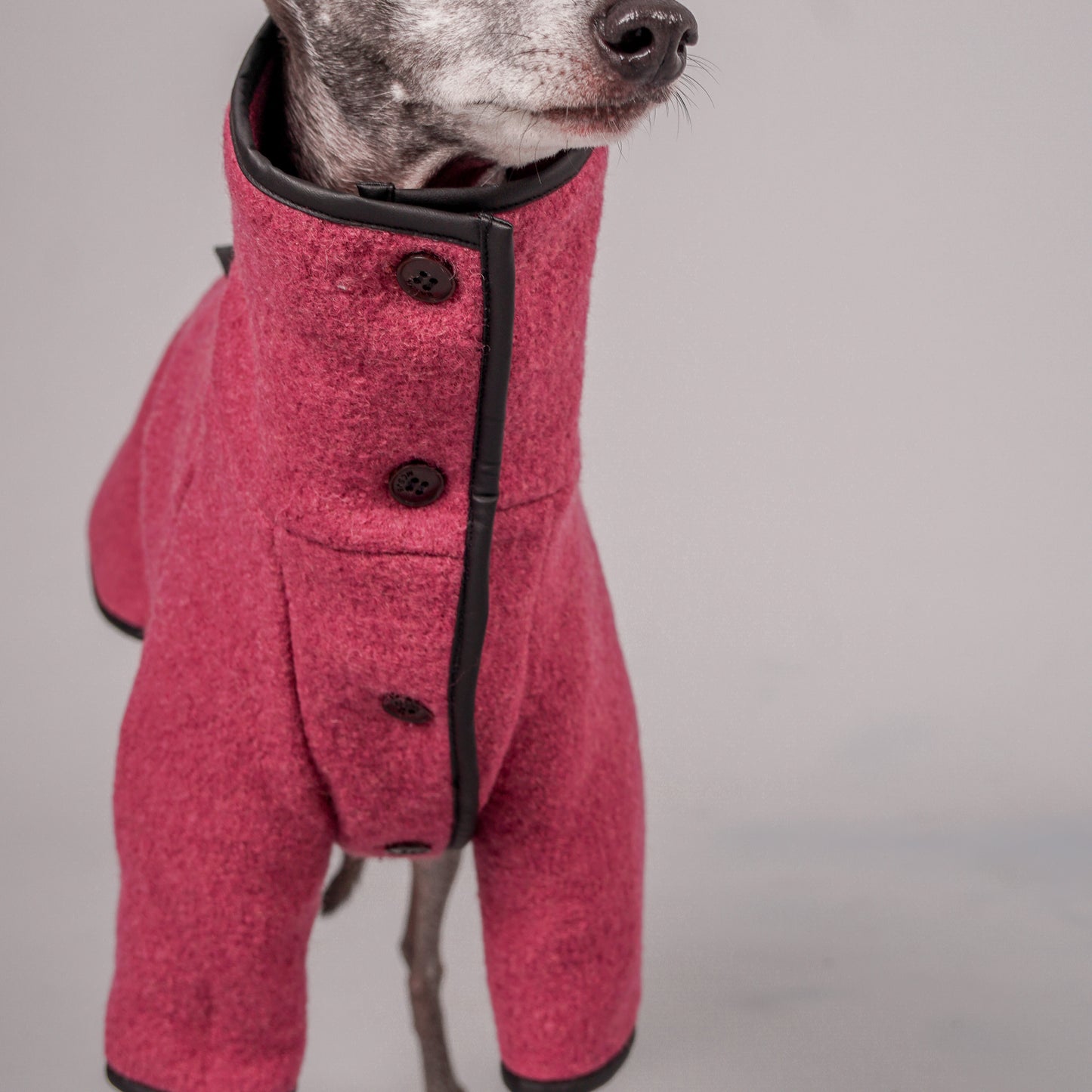 dog coat, dog wool coat, dog apparel, italian greyhound clothes, whippet clothes