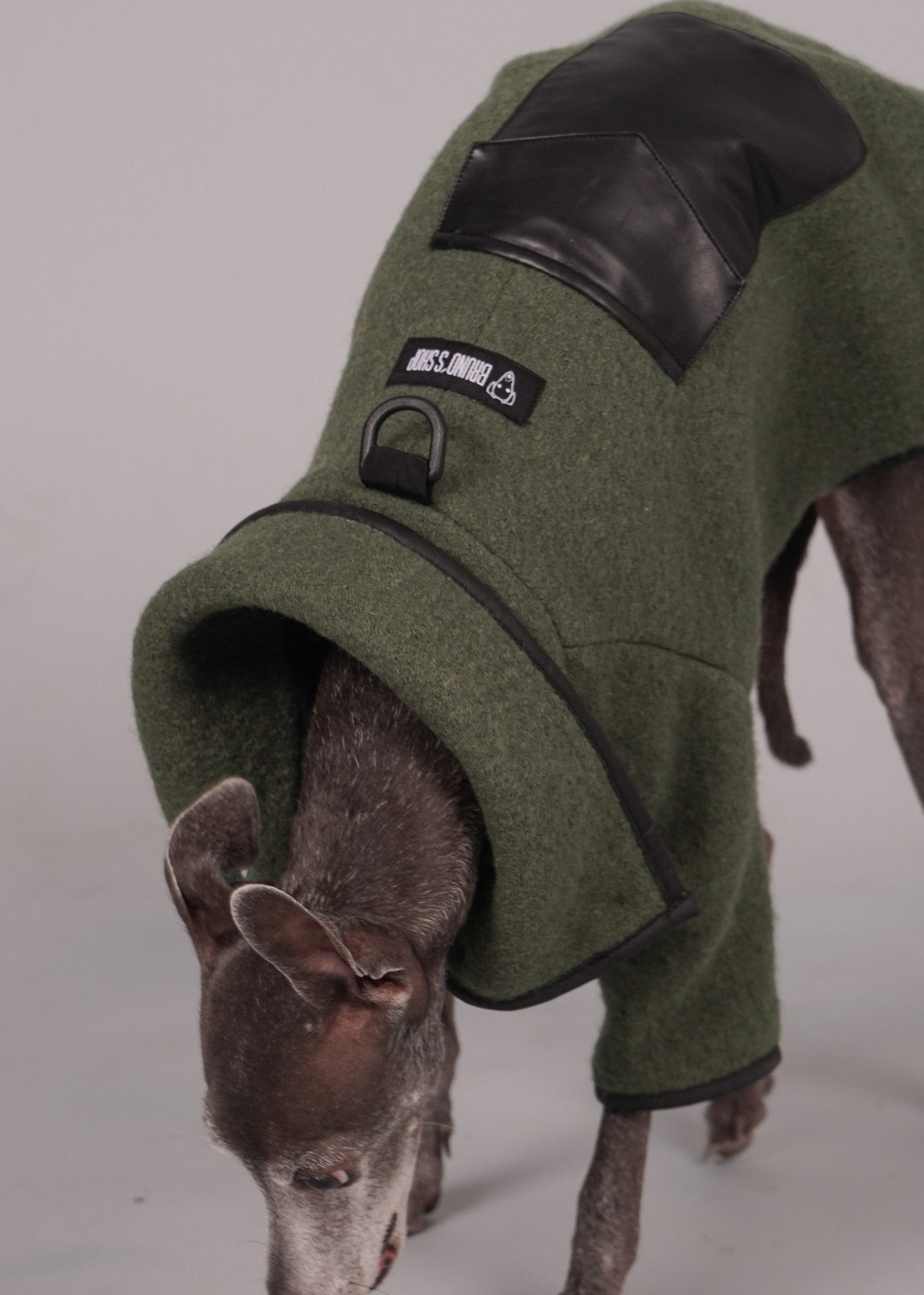 dog coat, dog wool coat, dog apparel, italian greyhound clothes, whippet clothes