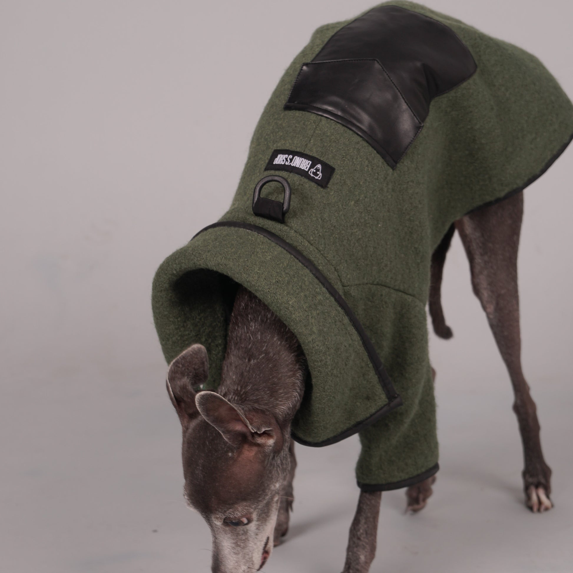 dog coat, dog wool coat, dog apparel, italian greyhound clothes, whippet clothes