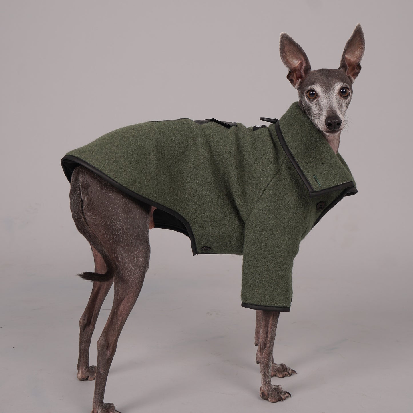 dog coat, dog wool coat, dog apparel, italian greyhound clothes, whippet clothes