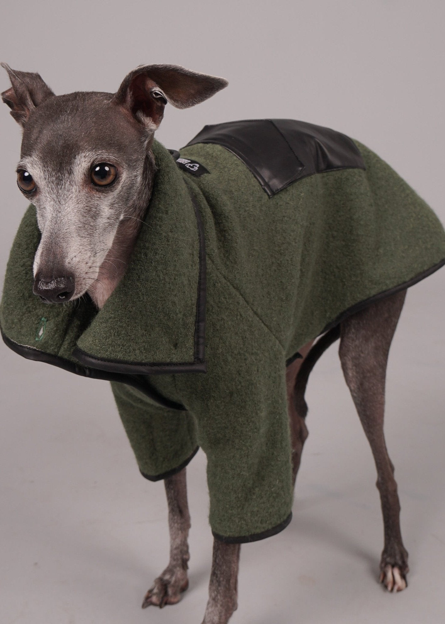 dog coat, dog wool coat, dog apparel, italian greyhound clothes, whippet clothes