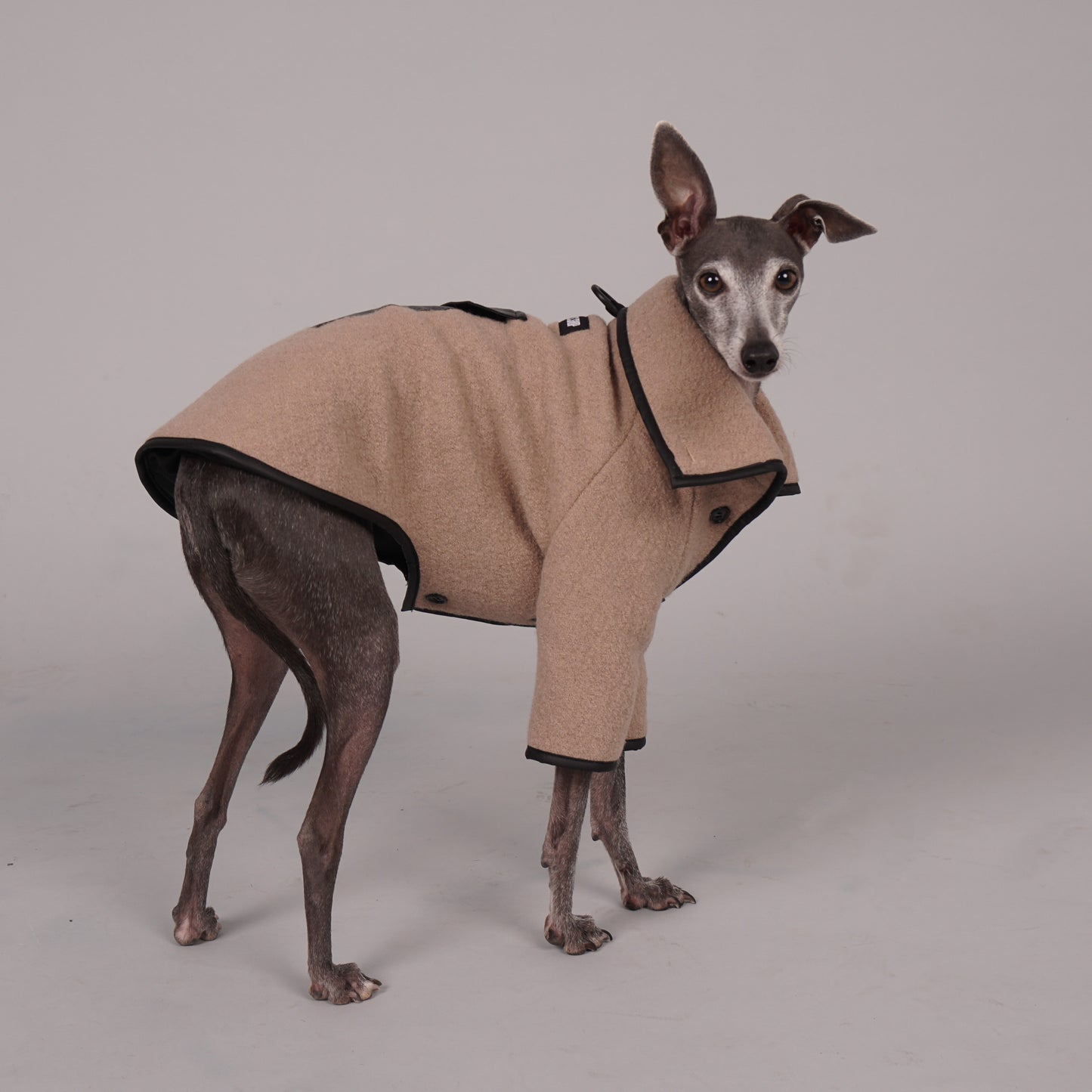 dog coat, dog wool coat, dog apparel, italian greyhound clothes, whippet clothes 