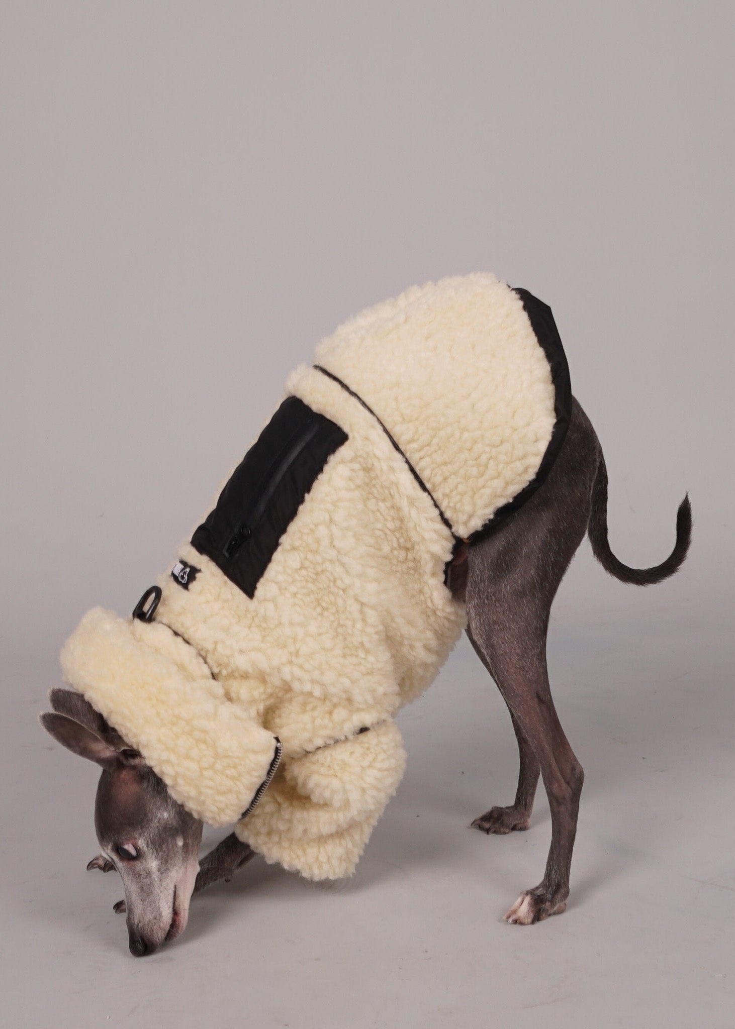 MOOR Reversible sheep fur and waterproof coat for Italian Greyhounds and Whippets. Luxury pet clothing.