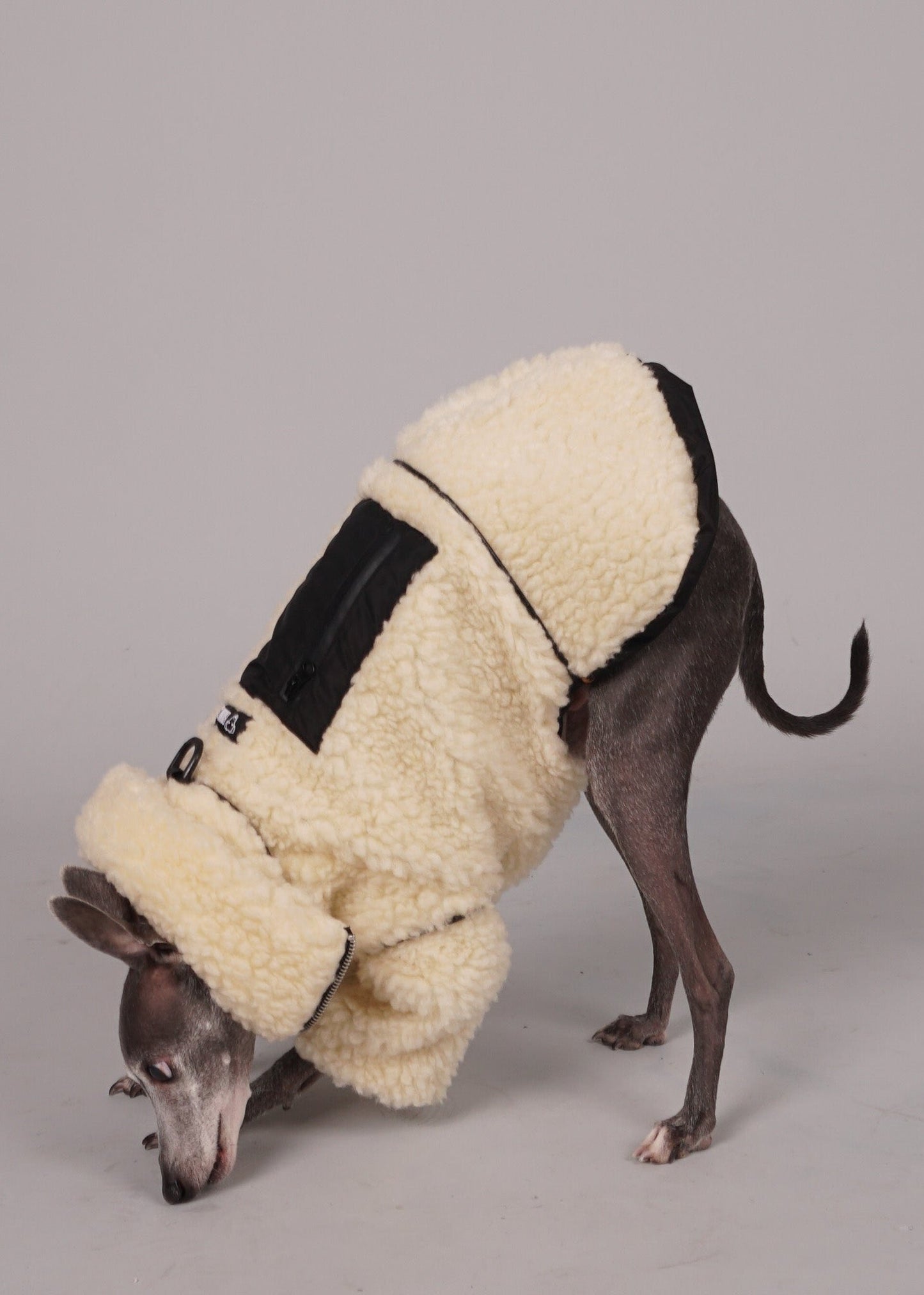 MOOR Reversible sheep fur and waterproof coat for Italian Greyhounds and Whippets. Luxury pet clothing.