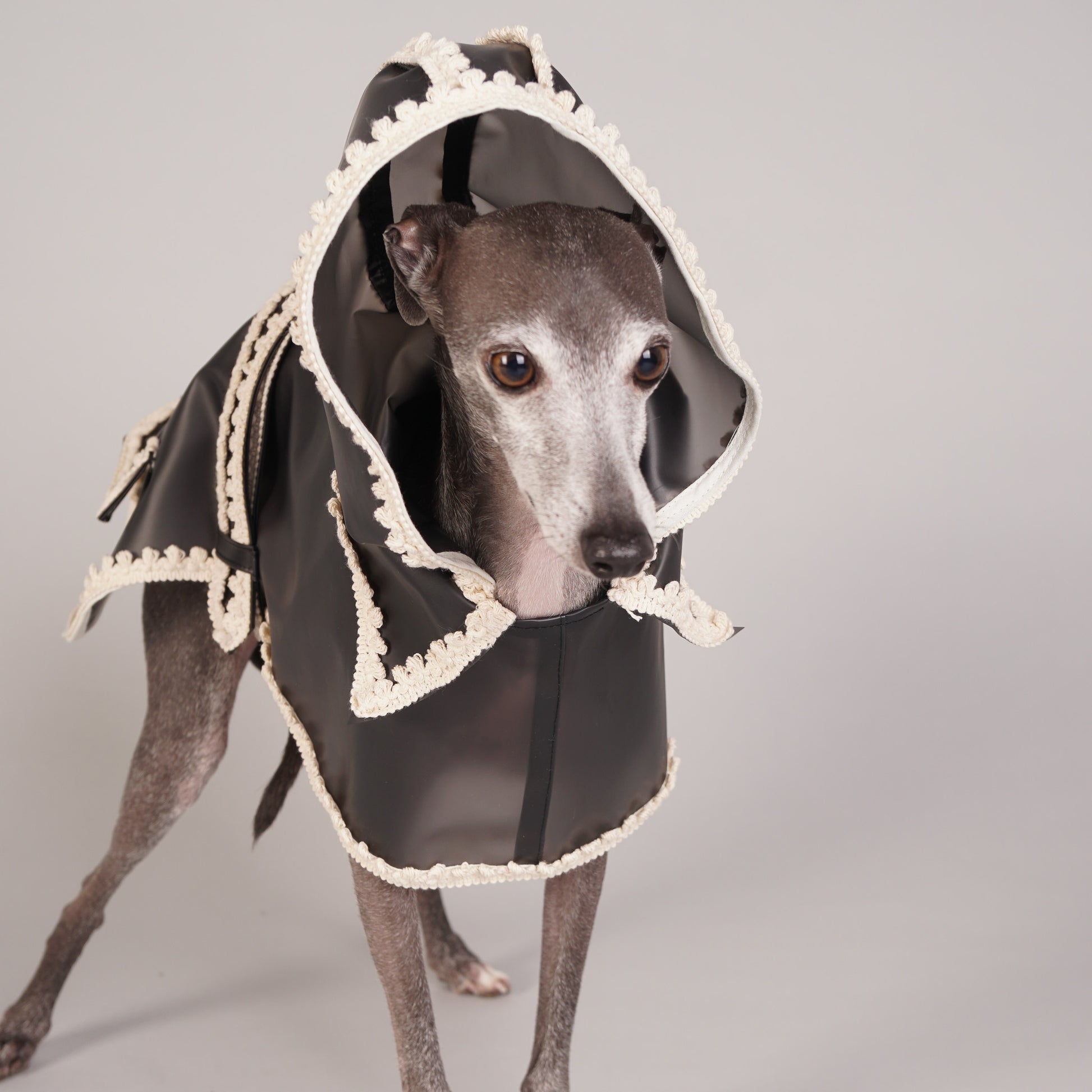 luxury dog raincoat