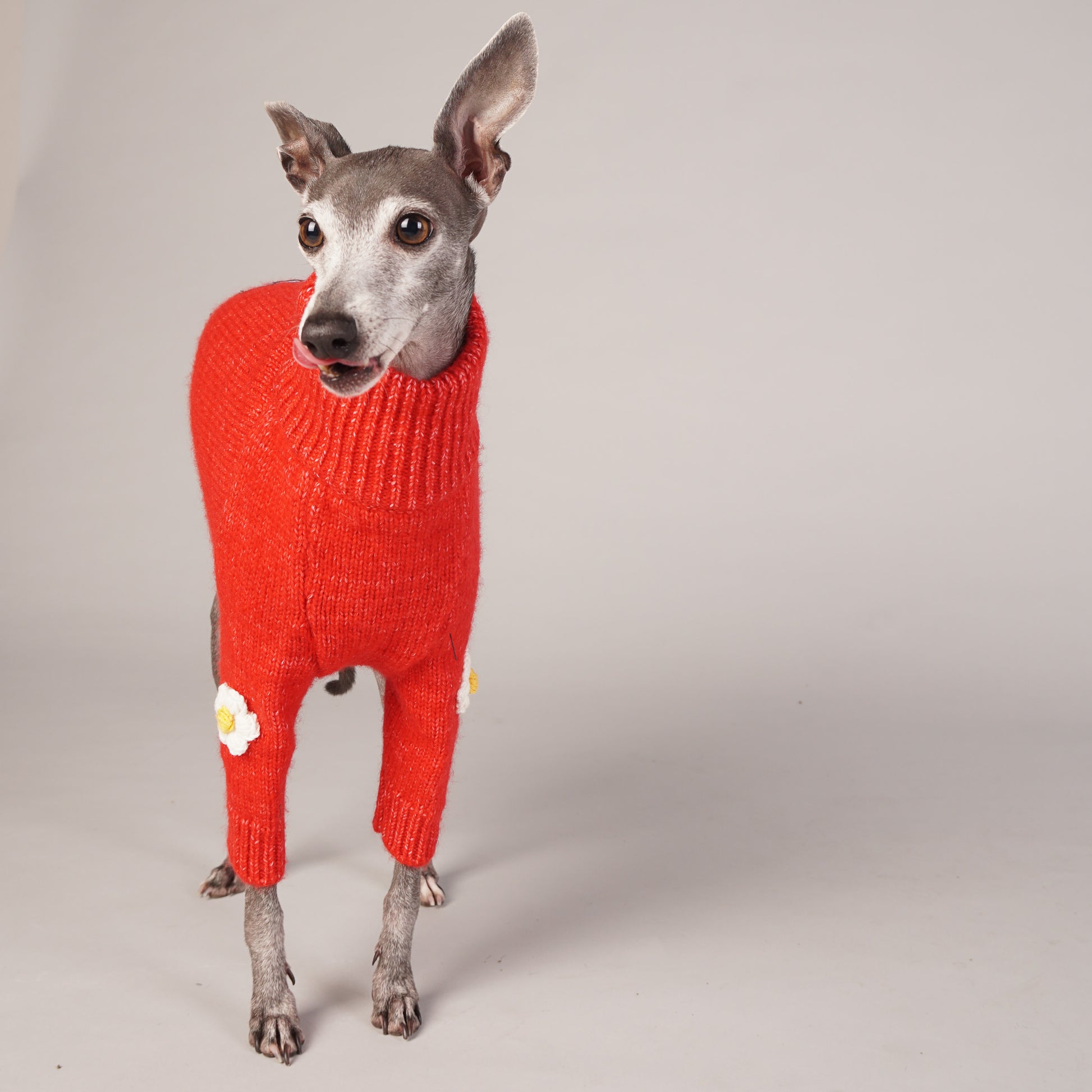 luxury dog wool jumper
